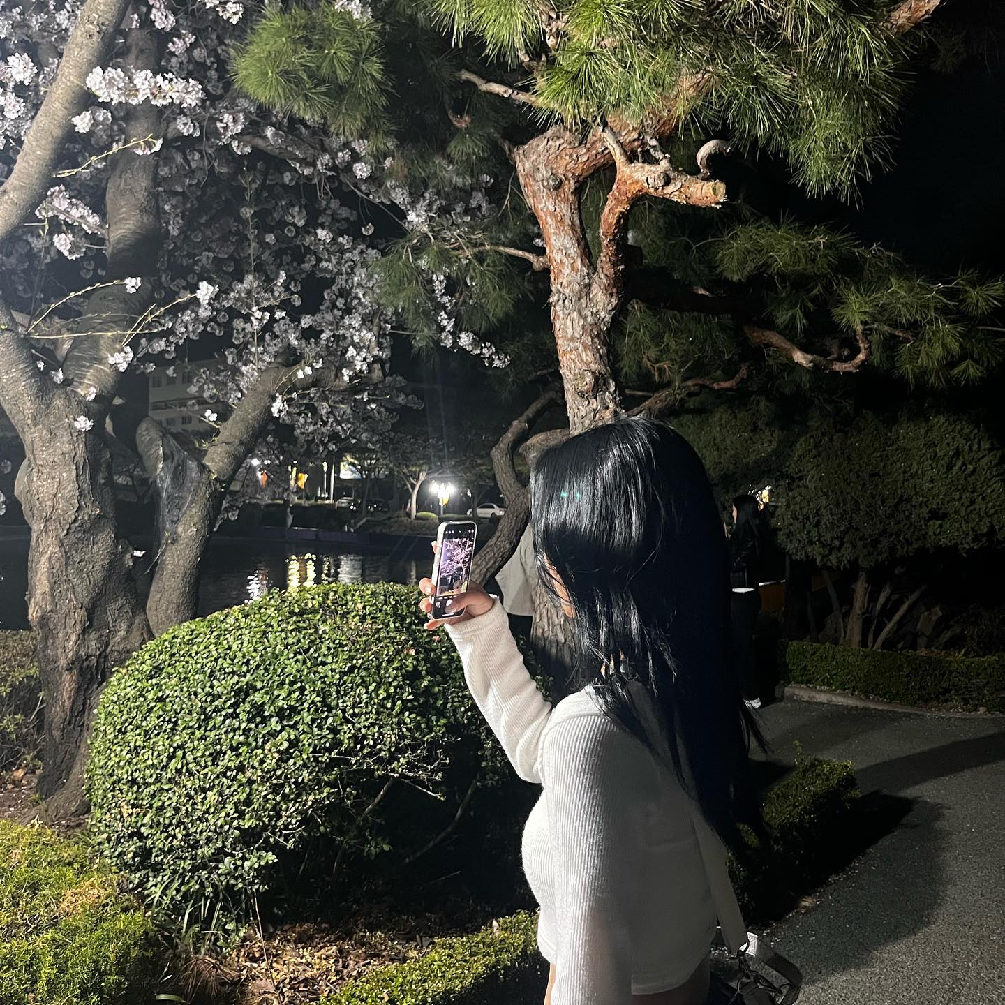 올해 봄도 함께•••🩷