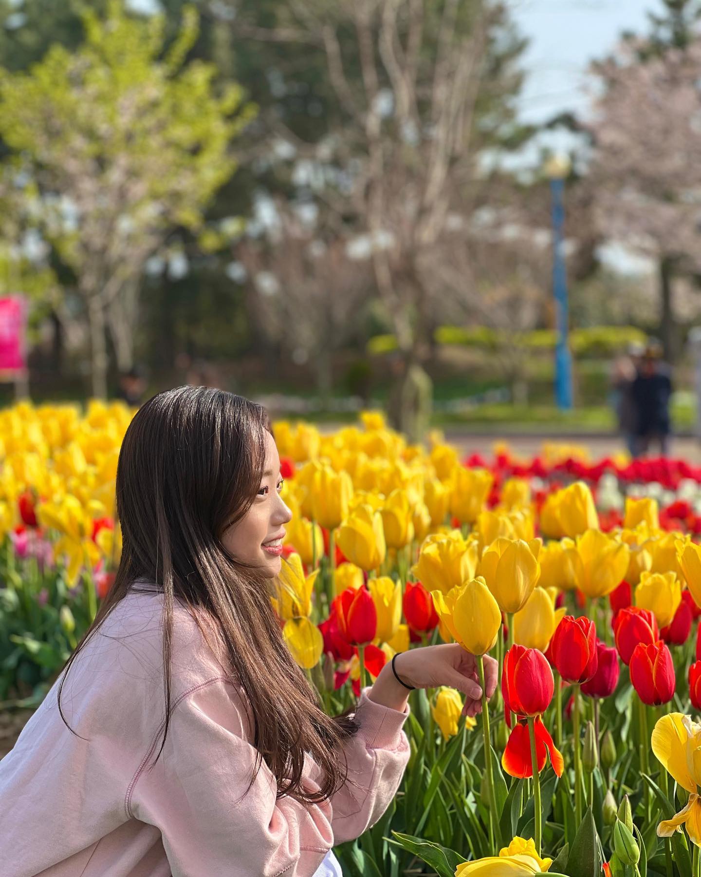 🌷태안 튤립 축제🌷

태안에 튤립축제가 열렸다 !?
너무너무 예쁜 튤립들 보느라 시간 가는줄도 모르고 미세먼지 
잔뜩 먹는지도 모르고,,^^

🔸네비주소 : 태안 세계튤립 꽃 박람회
  주차 공간 아주 많으니 걱정마세요✨

🔸입장료 : 14000원