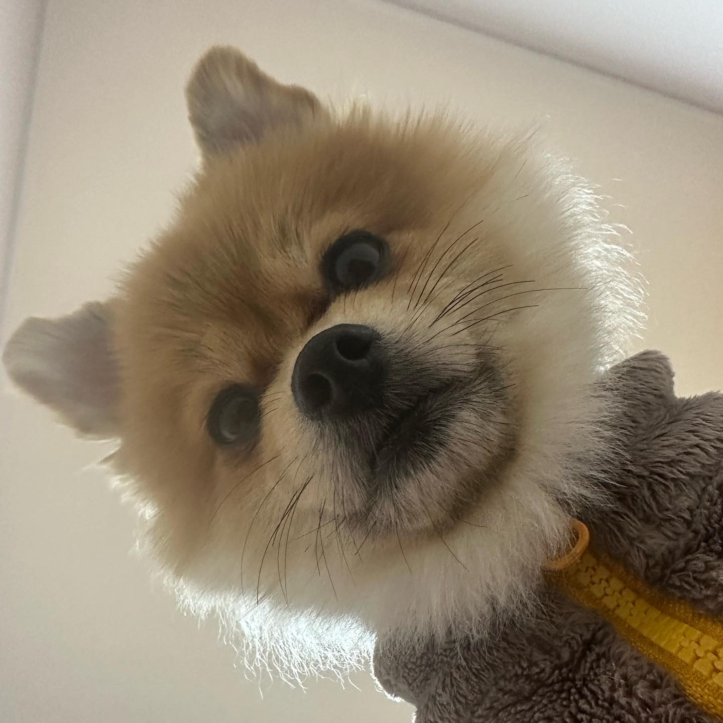 ᄂㅏ己6 ㅅŀ귈ઐ 맞팔할㉣łı..? =͟͟͞͞➳❥