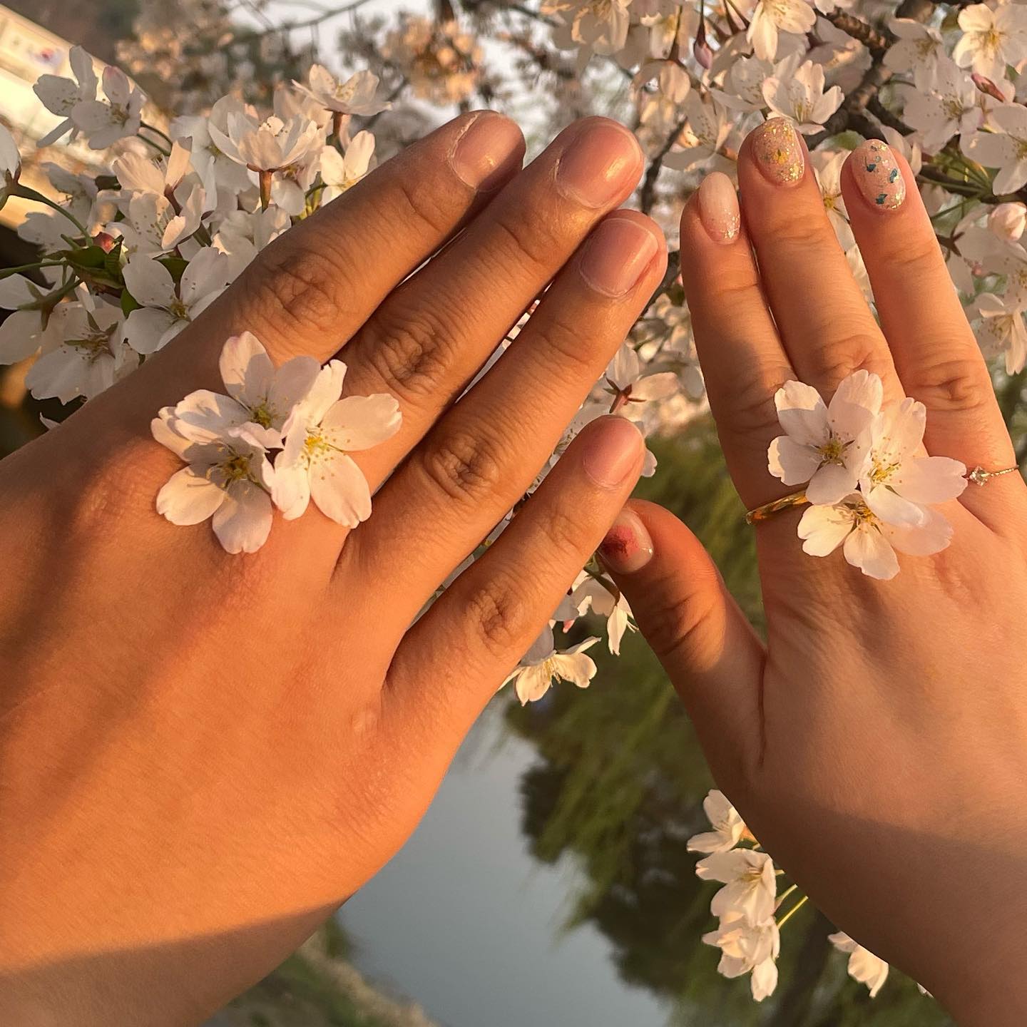 꽃길만 걷쟈 우리 🫶🏻💗