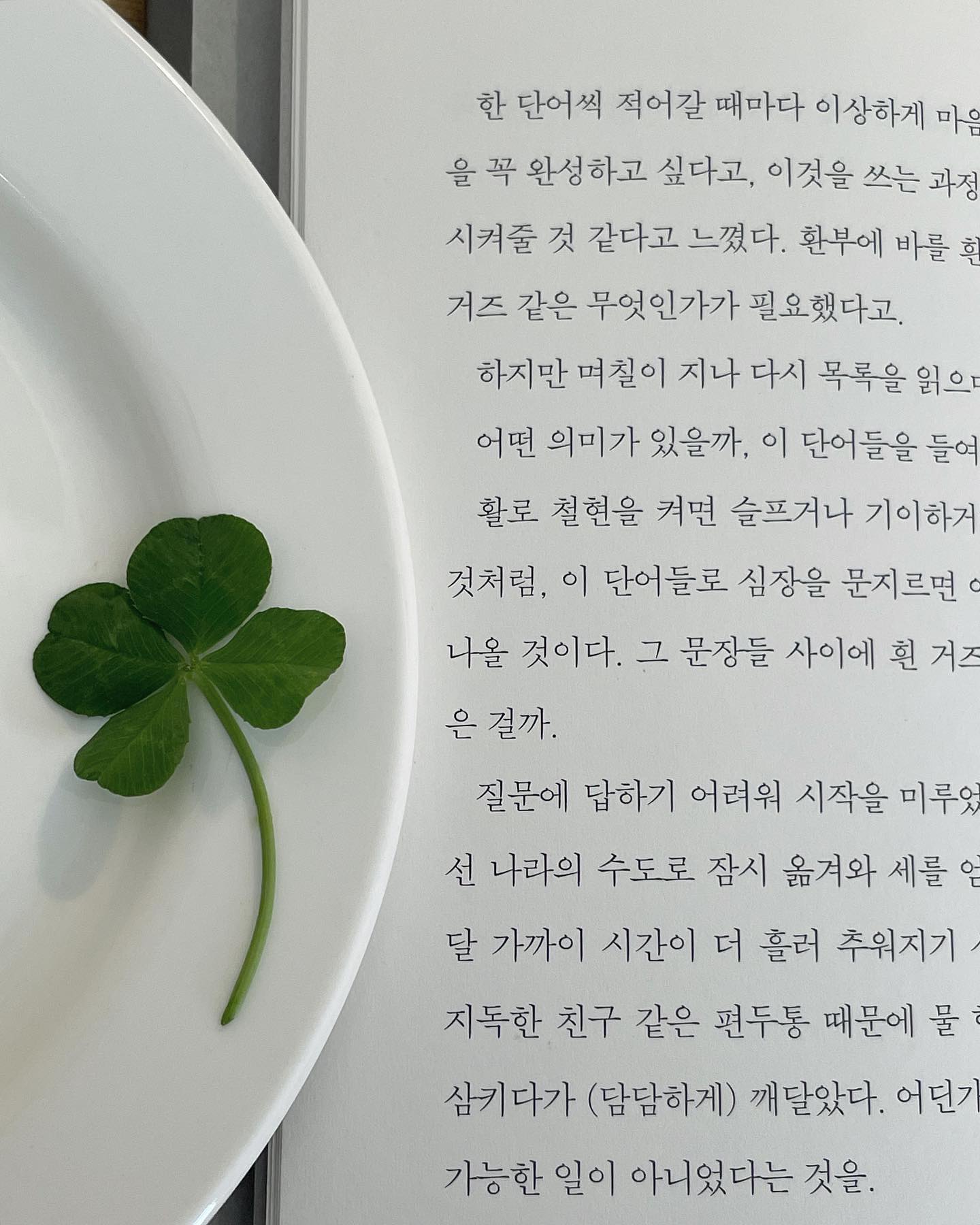 금쪽같은 나새끼