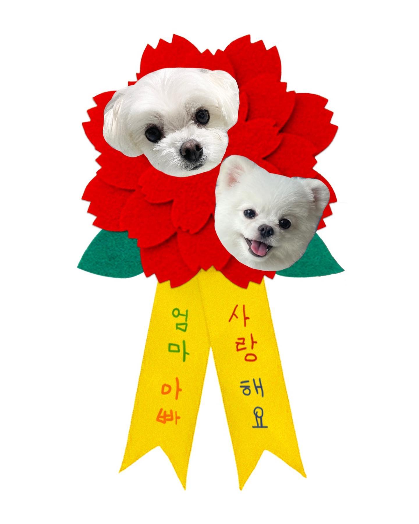 내새끼들 존재 자체가 선물♥️
오래오래 행복하게 살자(´ ▽｀).。ｏ♡
