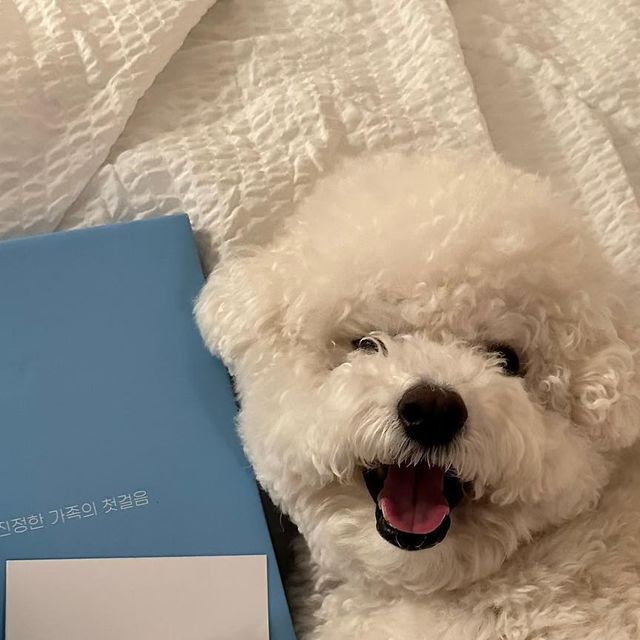 조랭_제림 on Instagram‎: "#협찬 ⠀ 애들아 내가 조랭이 간식이나 용품 살 때 종종 이용했던 페오펫몰에서 조랭이에게 멤버십 구독을 무료로 지원 해줘서 이렇게 소개해보려고 해 (๑❛ڡ❛๑)
