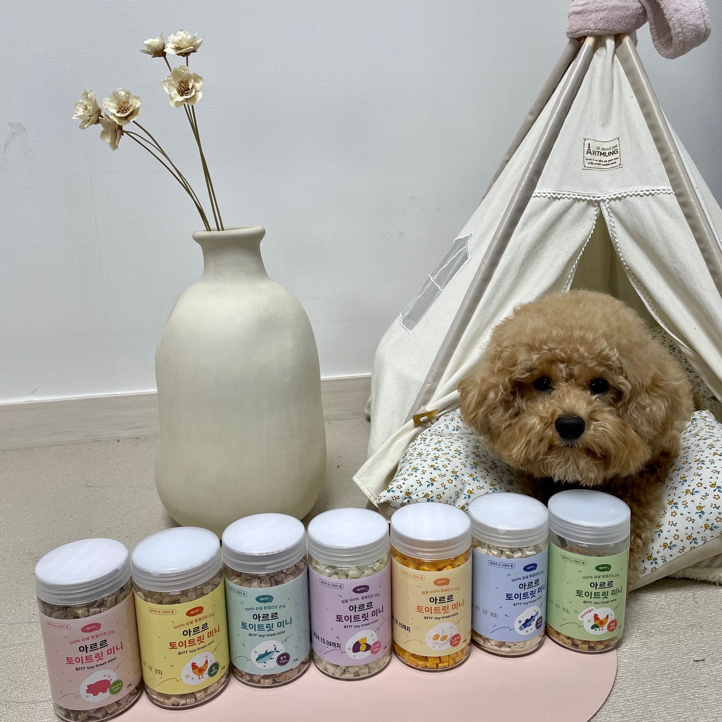 #광고
킁킁 놀이를 좋아하는 룽지를 위한 🎁#아르르 토이트릿 간식🎁
#아르르토이트릿 은 크기가 작아서 킁킁 노즈워크용으로 너무 좋고
1개당 0.3칼로리로 하루에 30개나 먹어도 되는 부담없는 #강아지간식 이야!
단독으로 급여하거나, 물에 불리거나, 가루로 뿌려 급여하는 등 급여 방법도 너무 다양해

이번에 신규맛 4종이 추가 돼서 총 7가지 맛으로 더욱 다채로워졌고
무엇보다 영양소가 풍부해서 너무 좋아!

✨️북어 - 피로회복과 간 건강
✨️닭+브로콜리 - 저칼로리, 면역력 강화
✨️닭 - 풍부한 단백질, 소화흡수
✨️참치 - 고단백 저지방, 모질 건강, 면역력 강화
✨️돼지안심 - 풍부한 철분, 저지방 고단백
✨️계란 노른자 - 면역력 증진, 혈관 건강
✨️고구마 - 장 건강, 면역력, 치아/뼈 건강

너무 맛있어서 룽지도 더욱 노즈워크 활발하게 자란다 ❤️

#arrr #아르르간식 #토이트릿미니 #트릿 #반려견간식
#노즈워크간식 #노즈워크 #강아지다이어트 #강아지다이어트간식