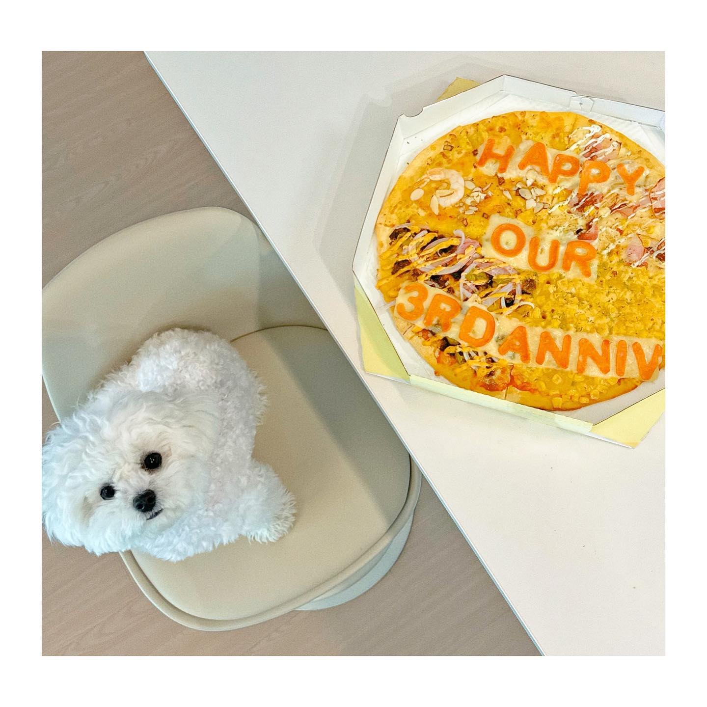 #3rdanniversary 🐾