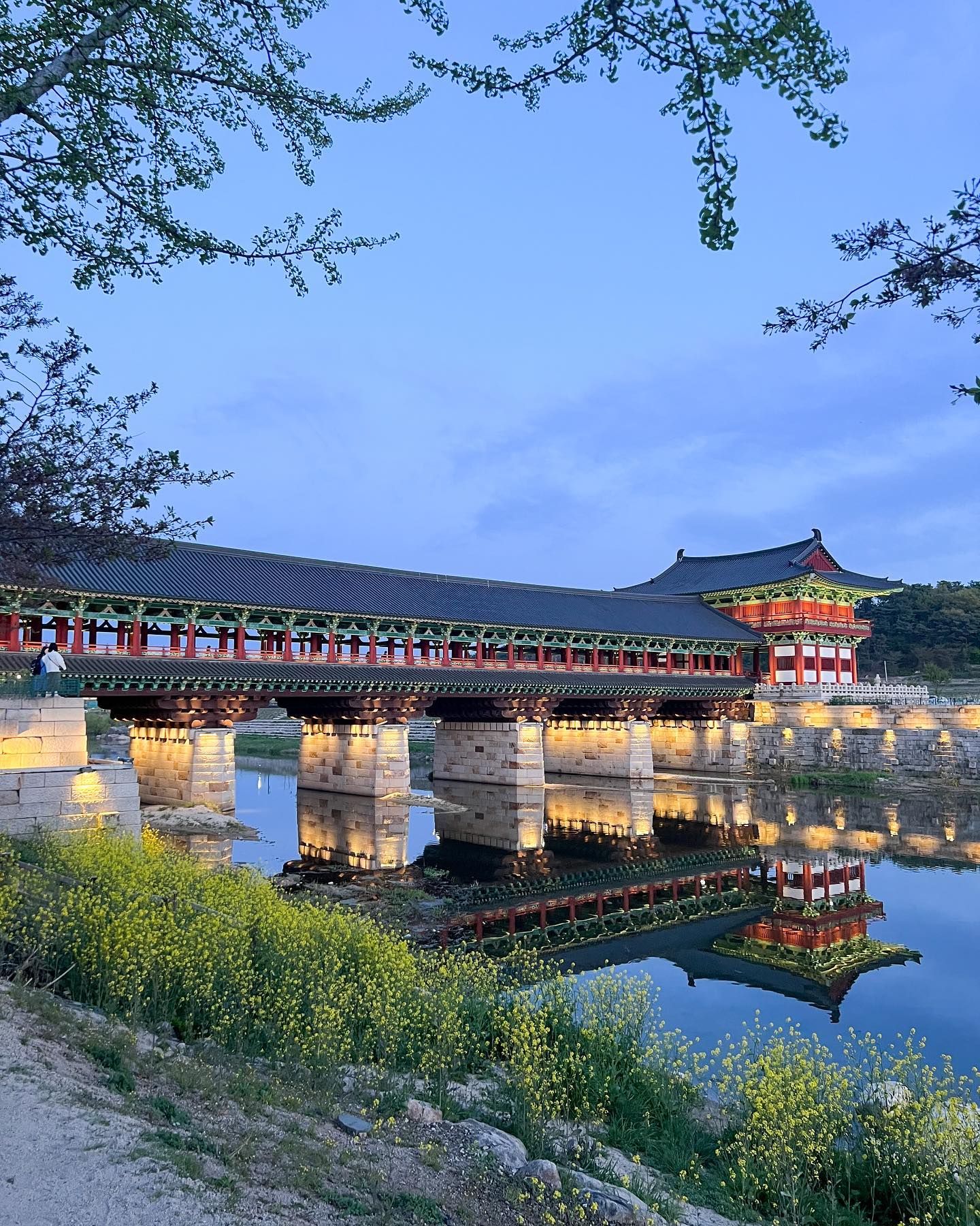 낭만적인 밤을 선사했던 월정교 🌉

#경주 #경주여행 #경주월정교 #월정교 #여행스타그램 #여행에미치다 #koreatravel