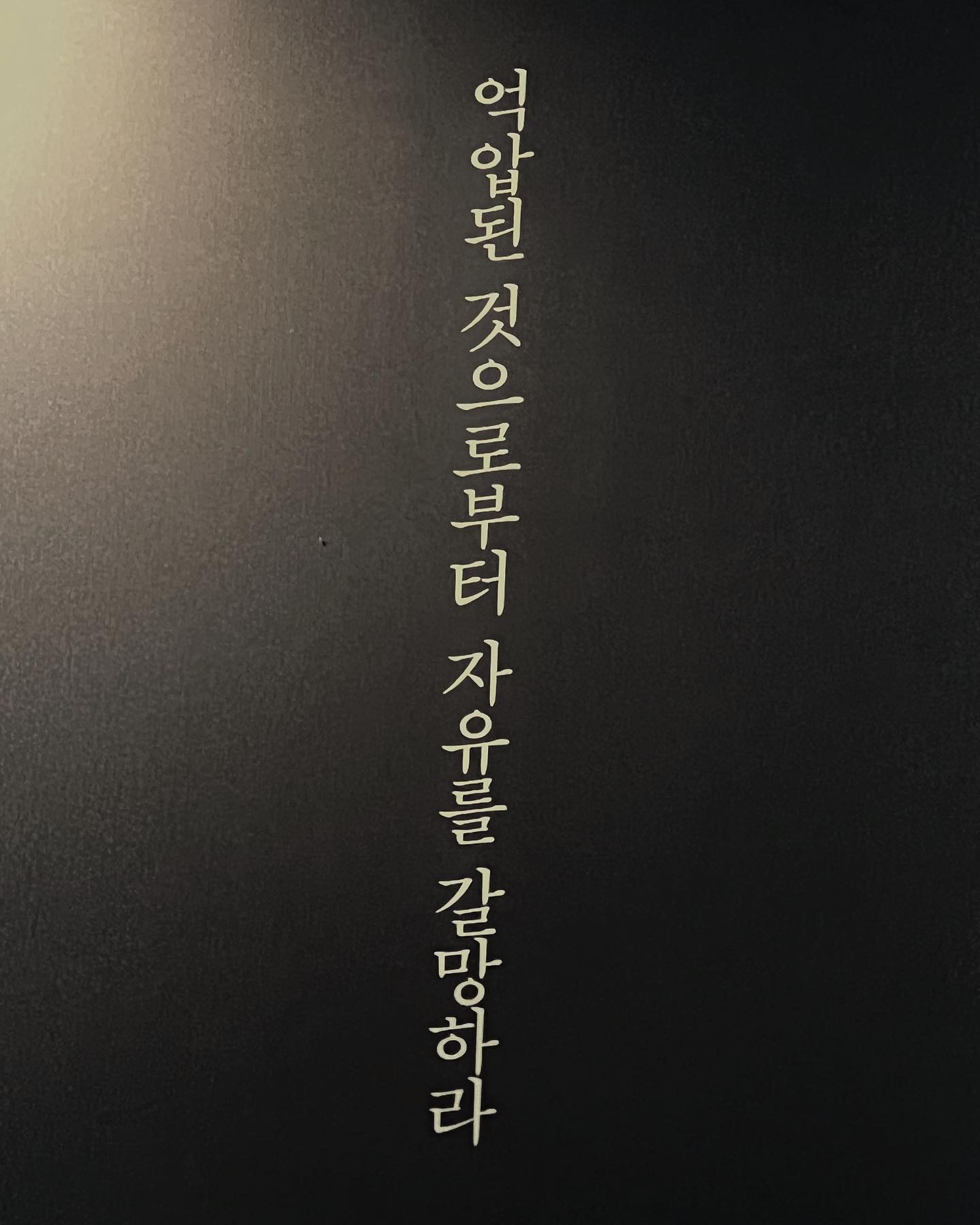 ⠀
⠀
𝚍é𝚜𝚒𝚛