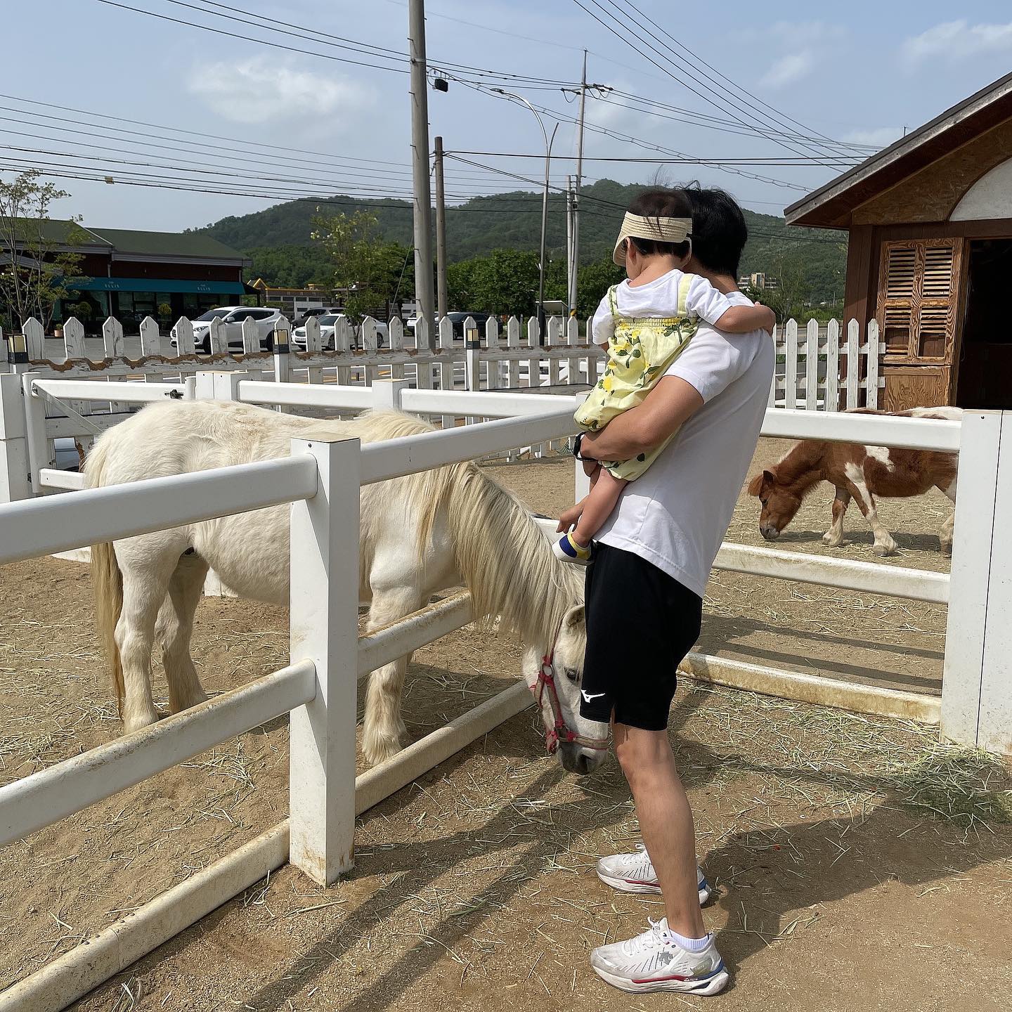🐥생후 510일 기록🐥

.
.
.

지난 주말엔 포니벨라 카페에 다녀왔어용🐴

조랑말, 오리, 시바견, 앵무새, 물고기가 있어서 아이들과 함께 오기에 좋은 곳으로 유명하더라고요!
조랑말에게 먹이주기 체험도 할 수 있고 미니 회전목마도 있었어요 ㅎㅎ

리원이는 조랑말은 겁내지 않고 잘 다가갔는데 그 옆의 큰 백마는 무서워했어요😂
귀여운 시바견도 멍멍!하며 가서 쓰다듬어주고 오리도 구경하고~!
리원이에게 딱 좋은 곳이었네요❤️

마침 시부모님댁과 되게 가까운 편이라 자주 오게 될 것 같아요:)
포니벨라에 갔다가 오는 길엔 시부모님댁에 들러서 마당에서 멍멍이와 놀기도 하고,
(이때 물장난 치느라 옷 다 젖고.... 결국 갈아입혔어요ㅠ)
집 지하에 내려가서 할아버지와 노래방 기계로 장난도 치며 꽉찬 하루를 보냈습니다👍🏻

.
.
.

#소띠맘 #흰소띠맘 #소띠아기 #흰소띠아기
#딸맘 #소띠맘소통 #소띠딸 #육아맘
#생후17개월 #17개월아기
#소통 #육아소통 #육아소통환영