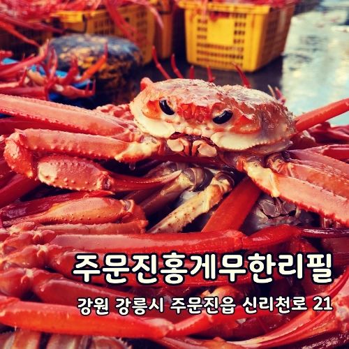 [강원도 강릉] #주문진홍게무한리필 (대게 전문점) 

강릉에 가면 꼭 들러야 하는 곳이 있다고 하는데요~
바로 주문진홍게무한리필집이예요
처음과 다른 곳도 많지만, 이곳은 처음부터 끝까지 같은 맛을 저렴한 가격에 즐길 수 있어요
친절하게  홍게 발라서 먹는 방법도 알려주시고, 먹다보면 요령이 생겨서 신나게 먹다보면 껍질이 가득 쌓인 것을 보실 수 있으실거예요
홍게라면 국물도 꼭 맛보고 가세요
게딱지 비빔밥도 선택 아닌 필수! 

----
🍽수슐랭 스코어 (✨️) 

----
🏘주소: 강원 강릉시 주문진읍 신리천로 21
💰가격: 홍게무한리필 성인/초등학생/5-7세 (38./20./7.) 게라면 (5.) 게딱지밥 (2.) 

----
#강릉맛집 #경포대맛집 #강릉맛집추천 #주문진맛집
#강릉현지맛집 #강릉가볼만한곳 #강릉핫플 
#강릉데이트 #주문진맛집 #강문해변맛집 #강릉홍게무한리필 
#홍게무한리필 #주문진홍게무한리필
#강원도홍게무한리필 #홍게 #강릉가볼만한곳 #주문진가볼만한곳
#강릉여행 #강릉맛집추천 #주문진맛집추천 #강릉현지인맛집 #주문진현지인맛집 
#강릉교동맛집 #강릉여행코스#강릉먹방