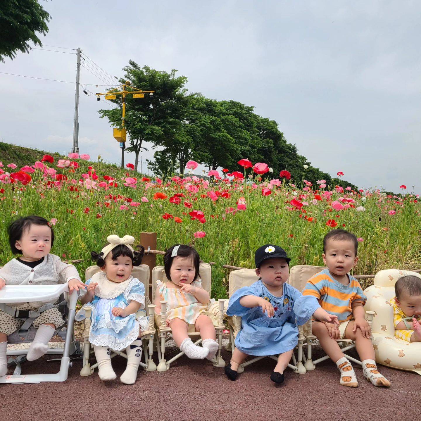 그렇게 관광명소가 되어버린 울애긔들