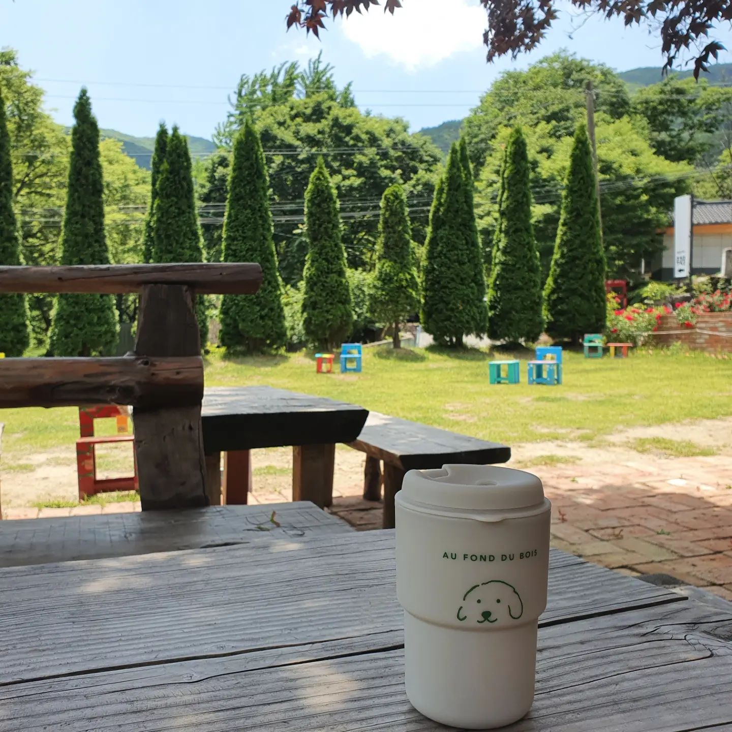 #일상
 
 

솔솔 부는 바람과 햇살이
언제 찾아가도 위로가 되어주는 곳

 
 
마지막은 오퐁드부아의 마스코트 엘리(많이컷당)

 
#오퐁드부아 #5퐁드부아 
#대구카페 #대구가볼만한곳