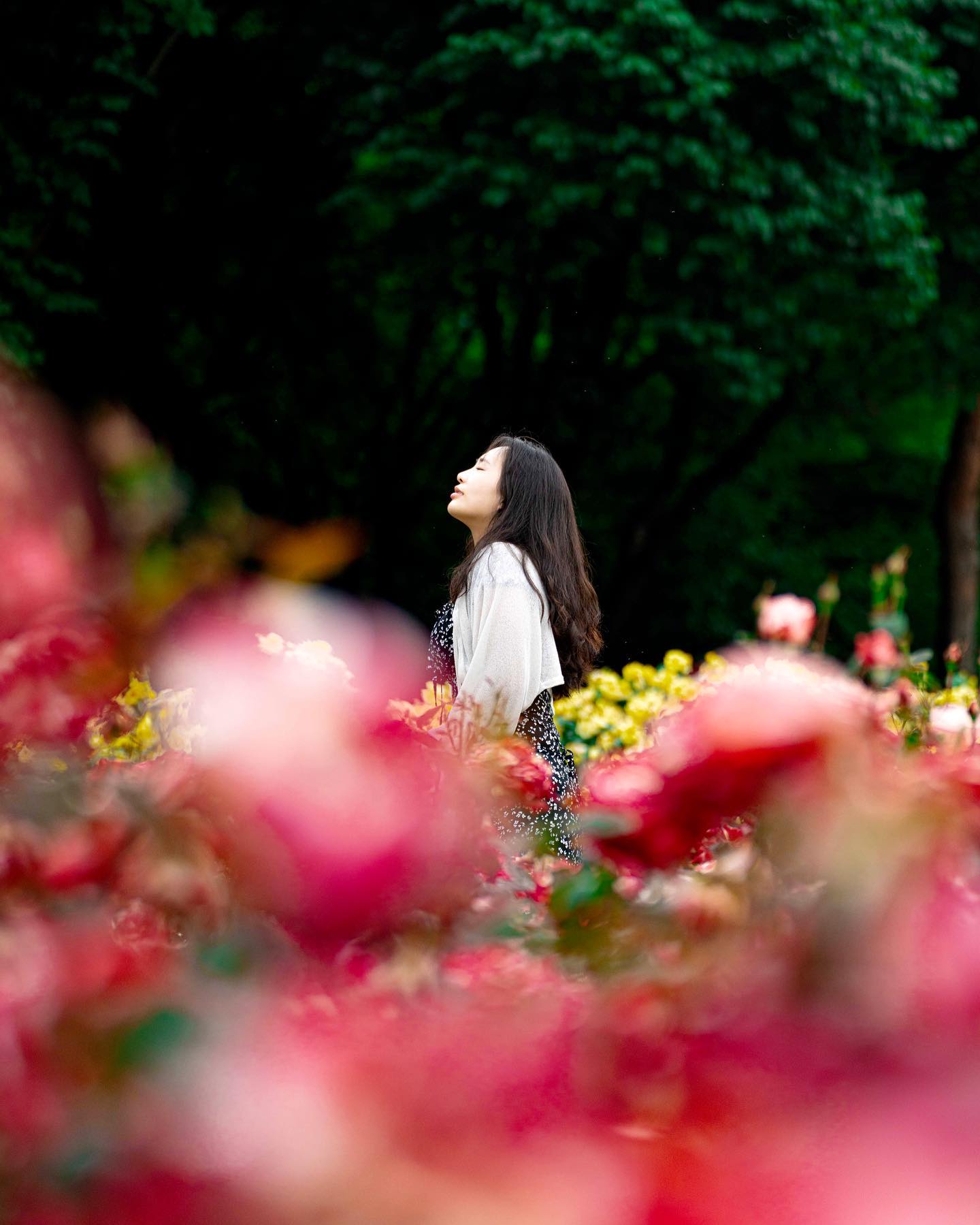 사람 장미 반반 🌹
비가 온 저번주에 방문했더니 꽃향이 다 사라져서 아쉬웠던,,🥹

✅ 부천 백만송이 장미원
🗓️ 5.20 ~ 6.11
📍 부천시 도당동 산25-5(도당공원 백만송이 장미원)
🚗 도당어울마당, 장미공영주차장
 -> 주말 임시주차장(도당초, 도당중, 도당고, 여월중, 여월초)

➡️ 5월 28일 방문한 사진
📸 ___d0ng_j1n 

#부천여행 #부천장미축제 #부천장미 #서울근교 #경기도데이트코스 #백만송이장미원 #부천축제 #대한민국구석구석 #여행다녀왔습니다 #여행에미치다 #여행을떠나는이유 #부천