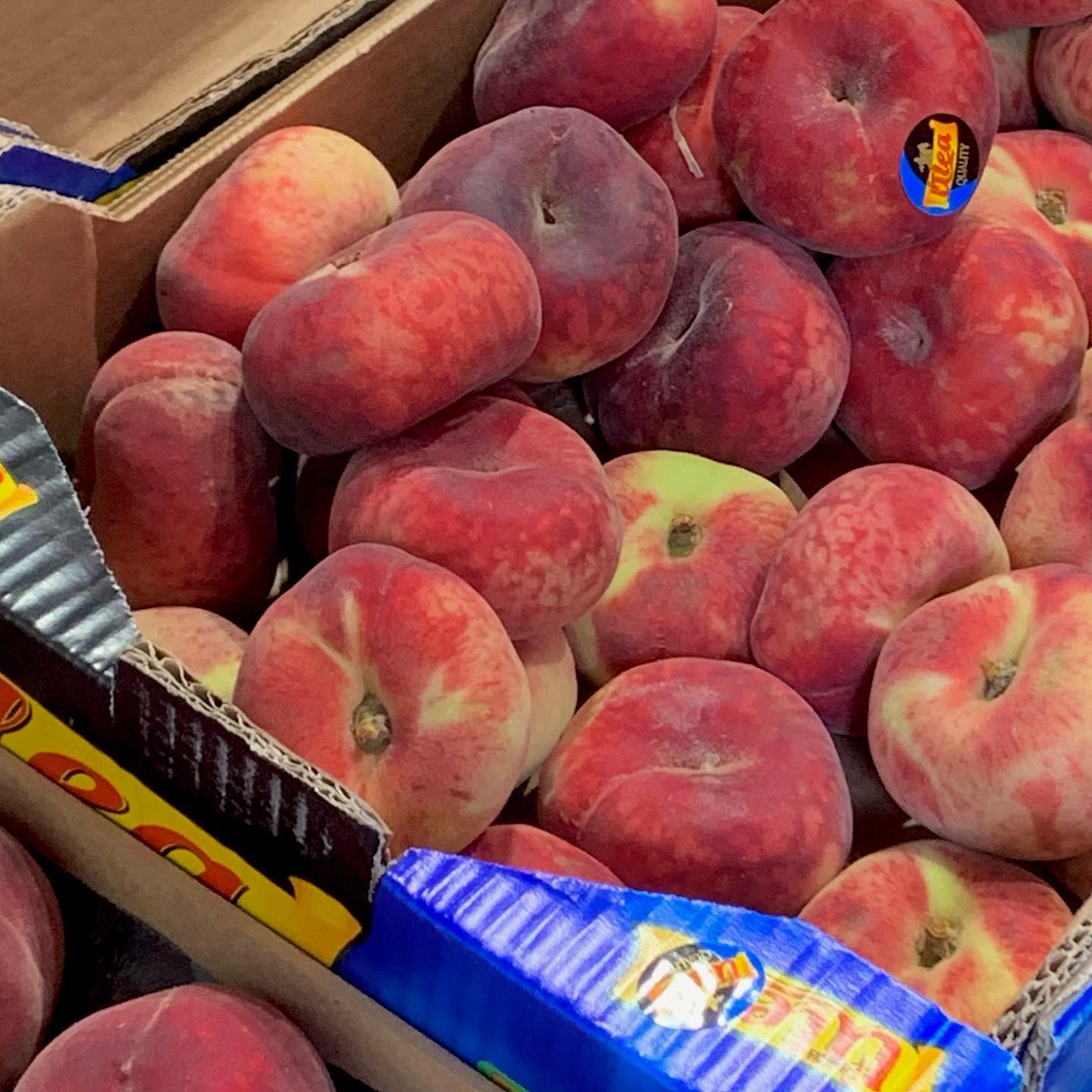 집에 납복 한 박스 들여오고 싶다 🍑