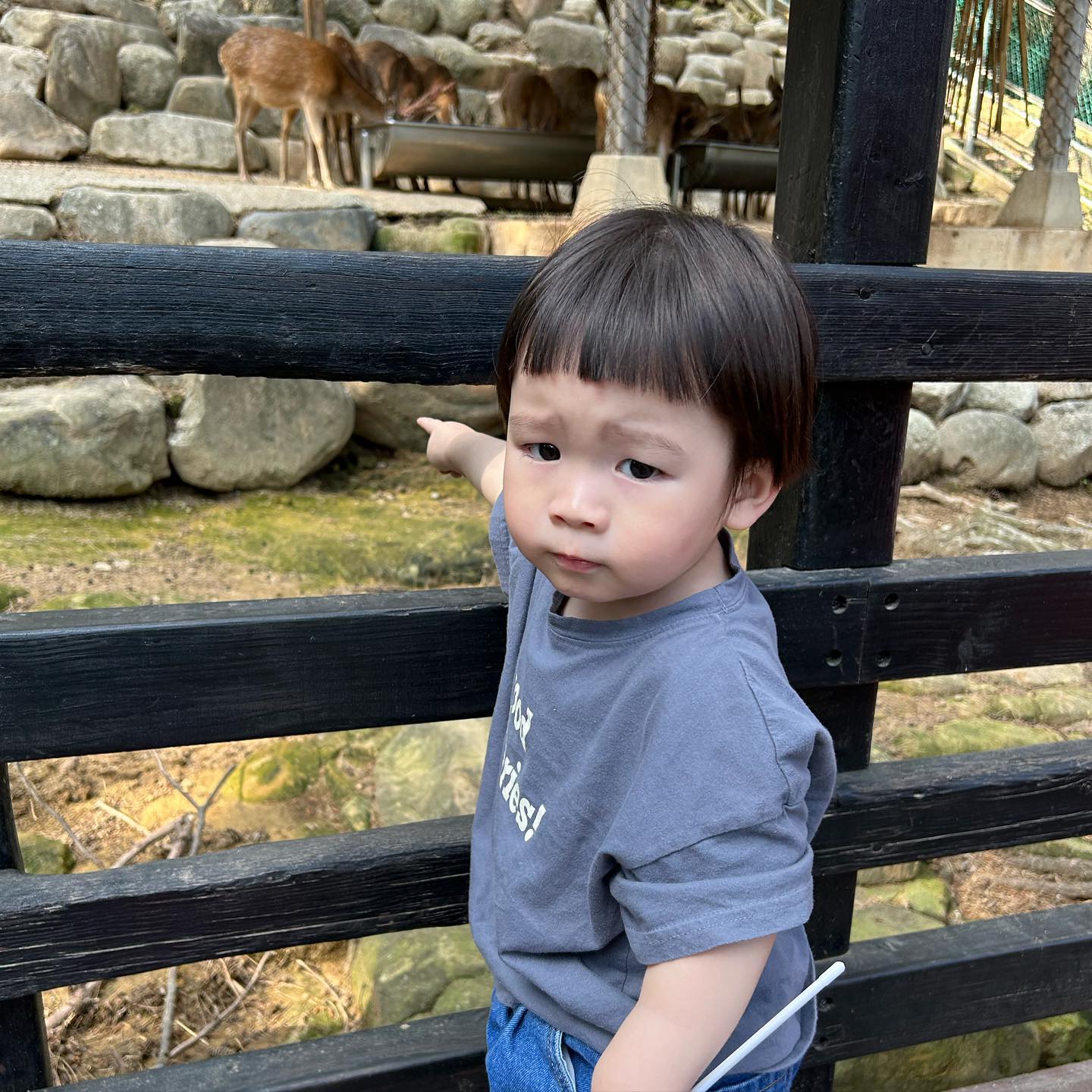 동물원을 좋아하는 슬우🫶🏻

요즘 눈 돌면 혼자 어디 간다 휴게소에서도 혼자가고 동물원에서도 혼자간ㄷ..😭
