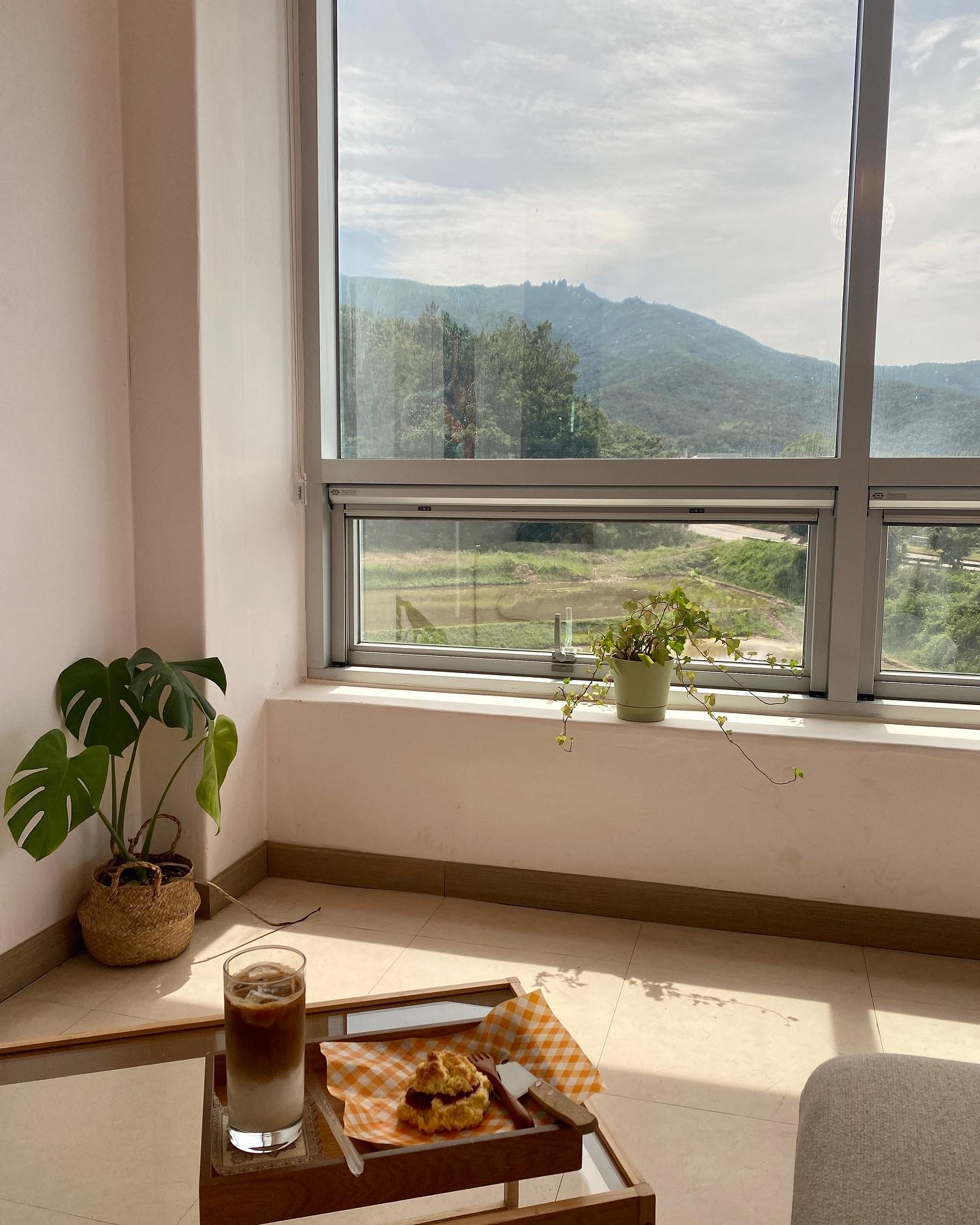 체력도 안되면서 시골에서 살고 싶다는 
무모한 생각이 자꾸 드는 오후☕️

천관산 뷰 카페에서 
혼자 보내는 꿀같은 90분의 여유📚

카페도 식당도 분명 들어올 땐 
아무도 없이 조용했는데 
내가 오면 바글바글 해지는 피로함이란…

#나의오월
#혼자있고싶어