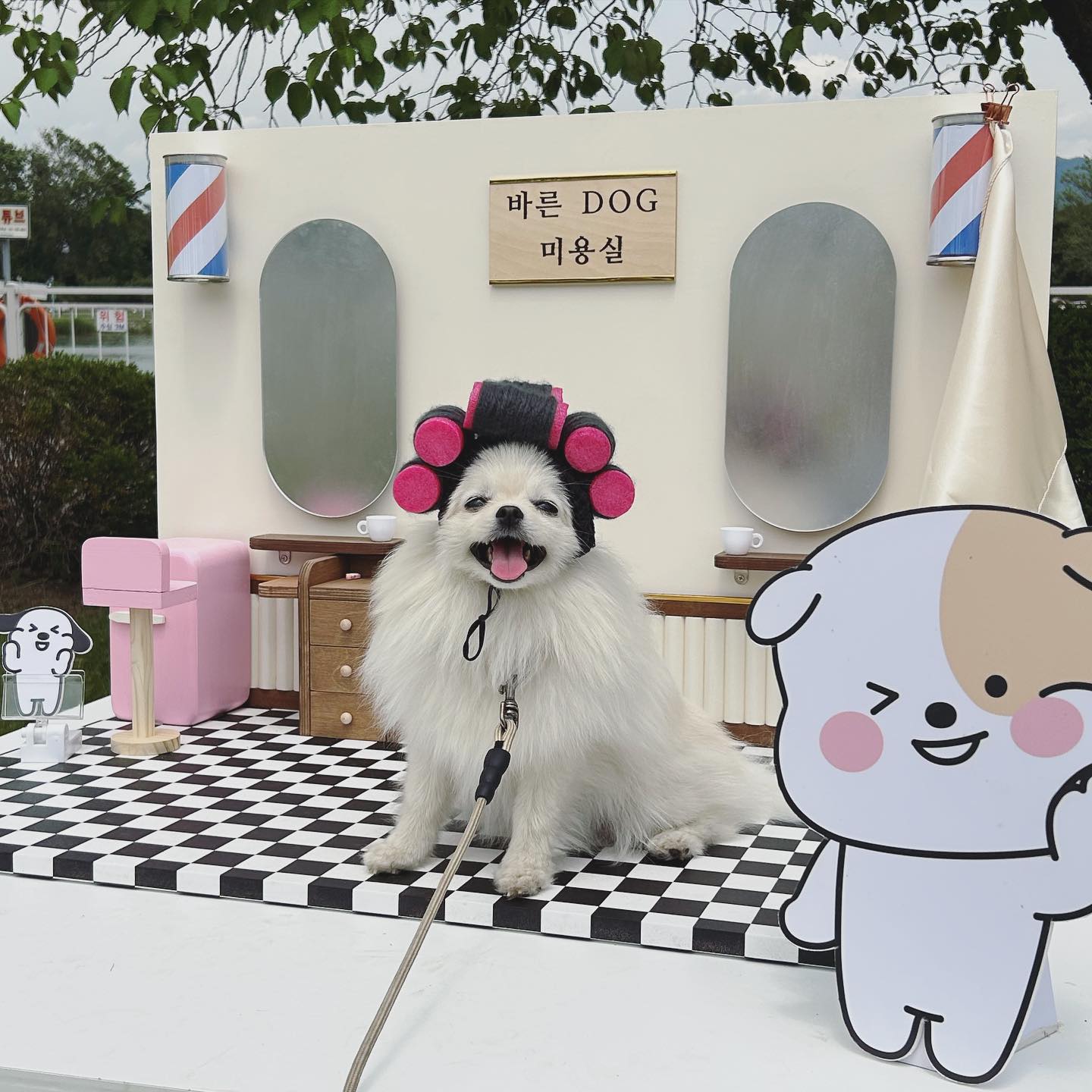 엄빠랑 바른DOG페스티벌 놀러왔다개👻
.
.
.
#주말일상 #반려견일상 #강아지동반
#토요타바른dog #바른dog페스티벌