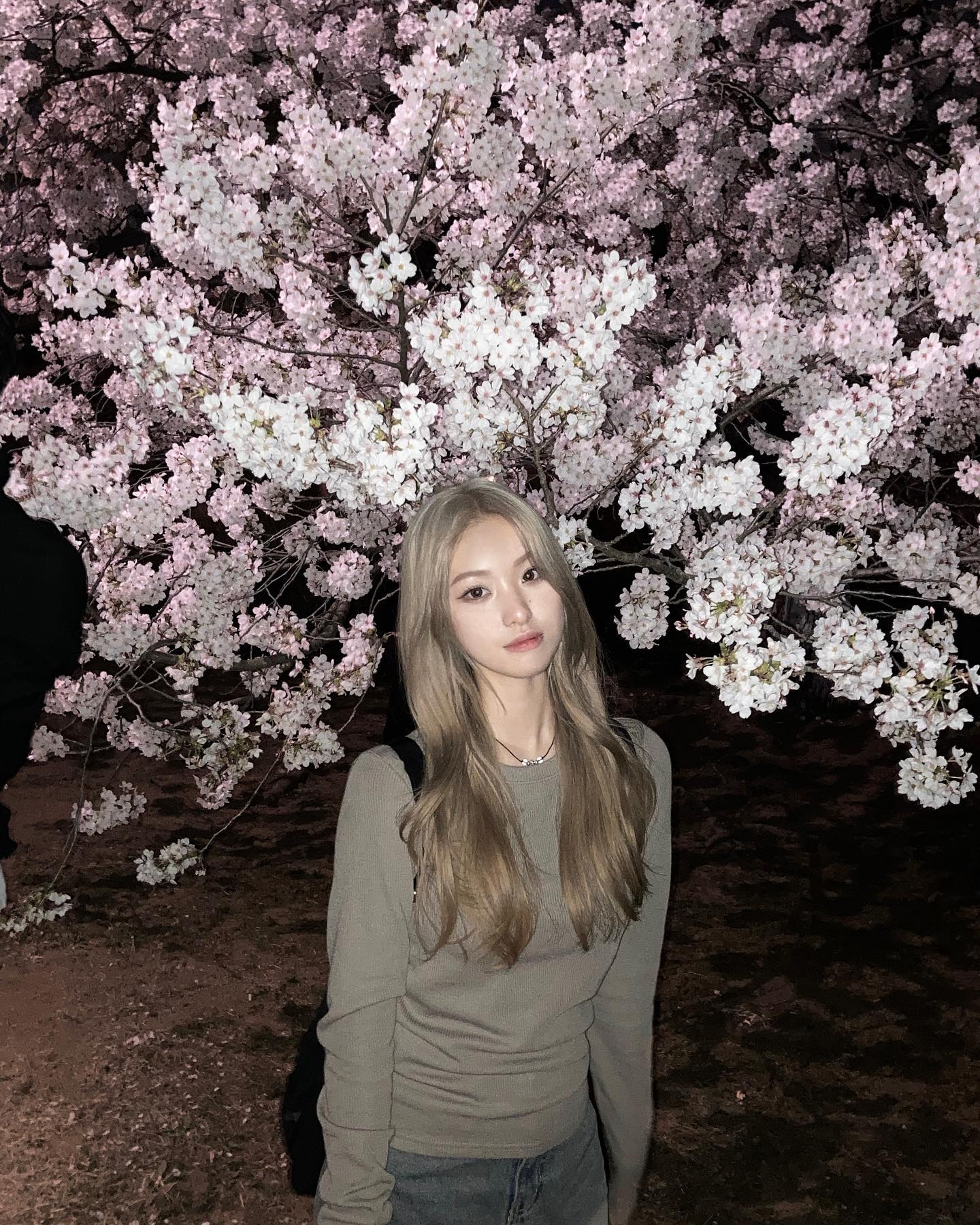 콘텐츠
