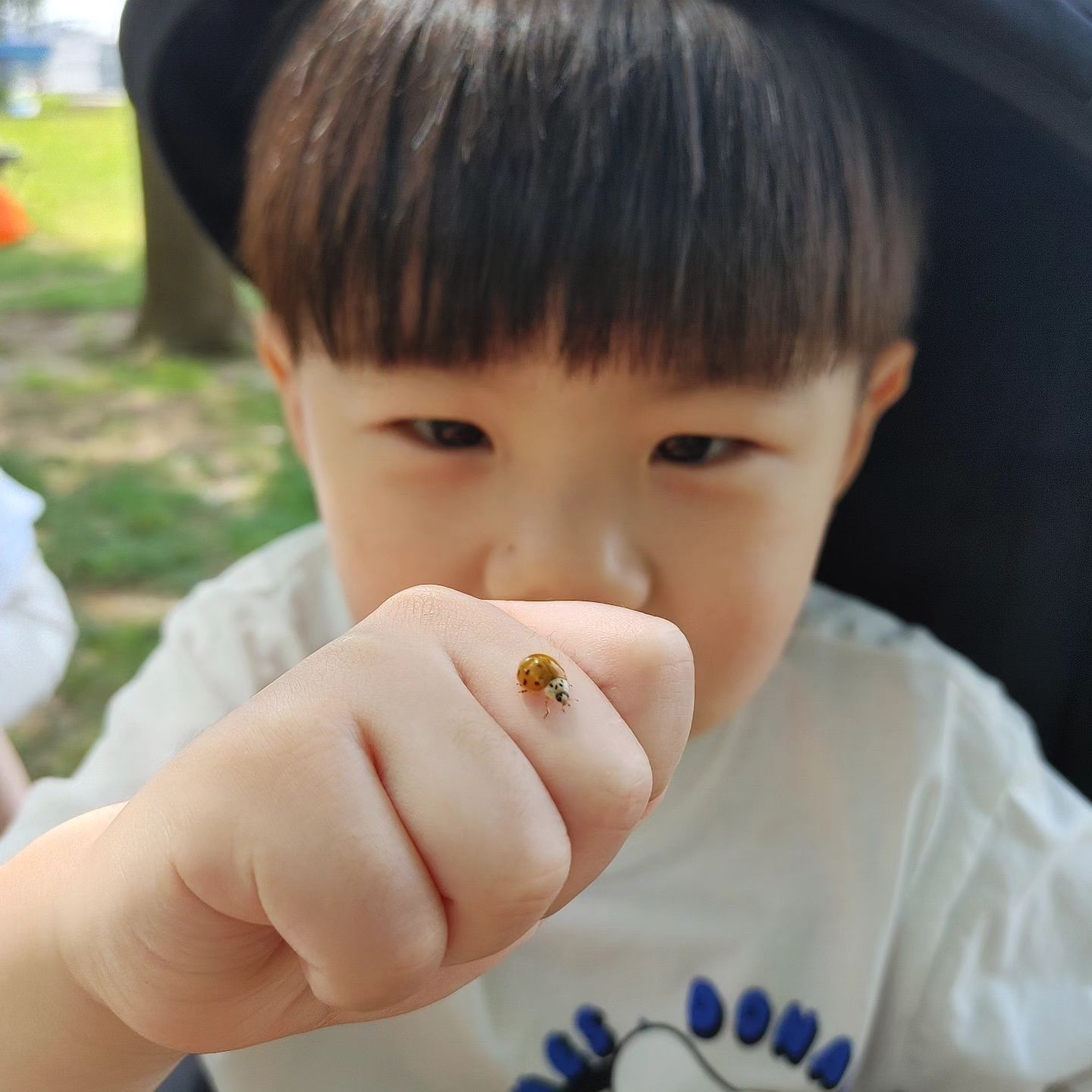 #파브르 가 될 상인가?

#지난주말 #한강나들이 #무당벌레 #레이디버그 #ladybug #ladybird