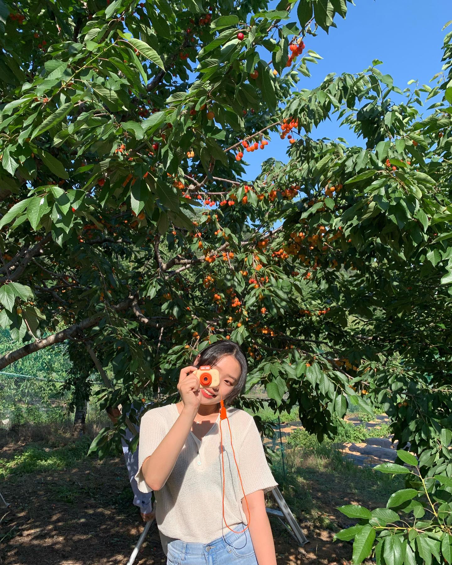 체리🍒

#슬로우벗베럴 #체리 #체리따기체험