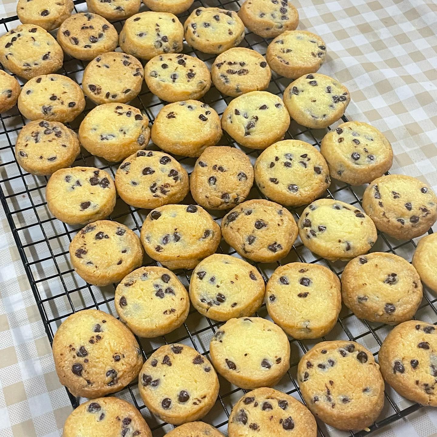 일푸르슈라센 #초코사브레 
오늘의 베이킹기록 사브레쿠키:)
오랜만에 쿠키굽기! 🍪오독오독 바스라지는 식감이라 티푸드로 딱 좋은 사브레쿠키입니다😚 단단한 식감에 버터리한 쿠키는 인간사료라는 별명이 붙었습니다🤎 가족들이 순식간에 먹어버림ㅎㅎㅎ 집에 있던 초코칩을 넣었는데 다음엔 비싼 초콜렛 다져서 넣을겁니다,, 초코풍미가 부족해 그래두 맛있었어요 ㅎㅎ😌
.
.
.
#수댕_베이킹 #クッキー