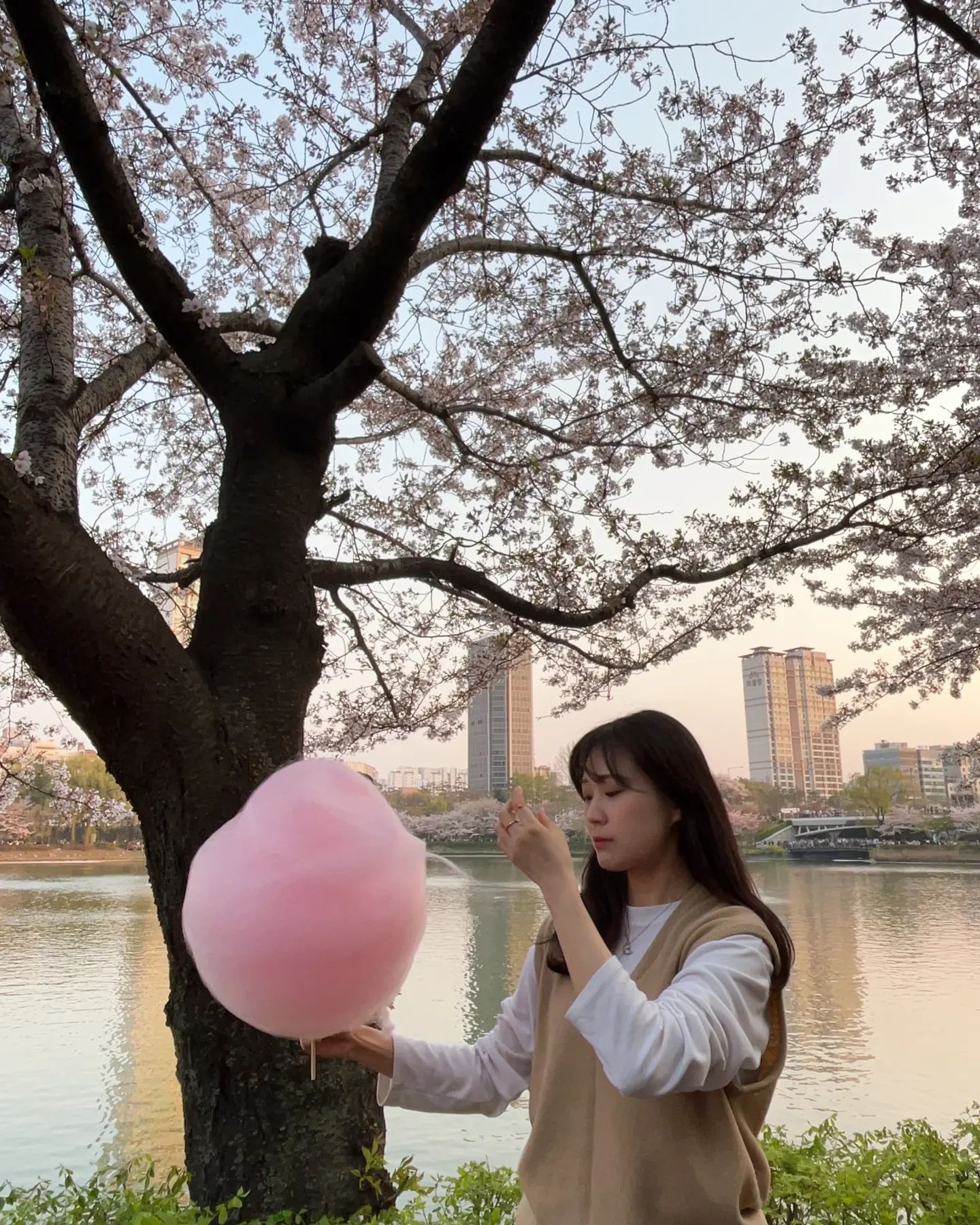 더워져서야 올리는...🌸

항상 벚꽃 루틴은 10분컷
솜사탕 사먹고 사진찍으면 끝-

#230403