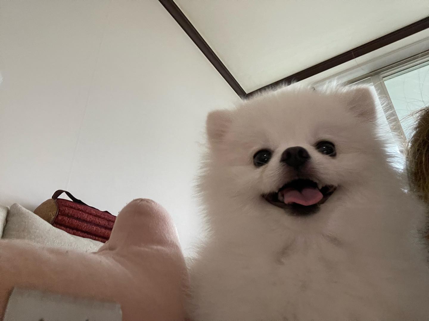 헤헷🩵