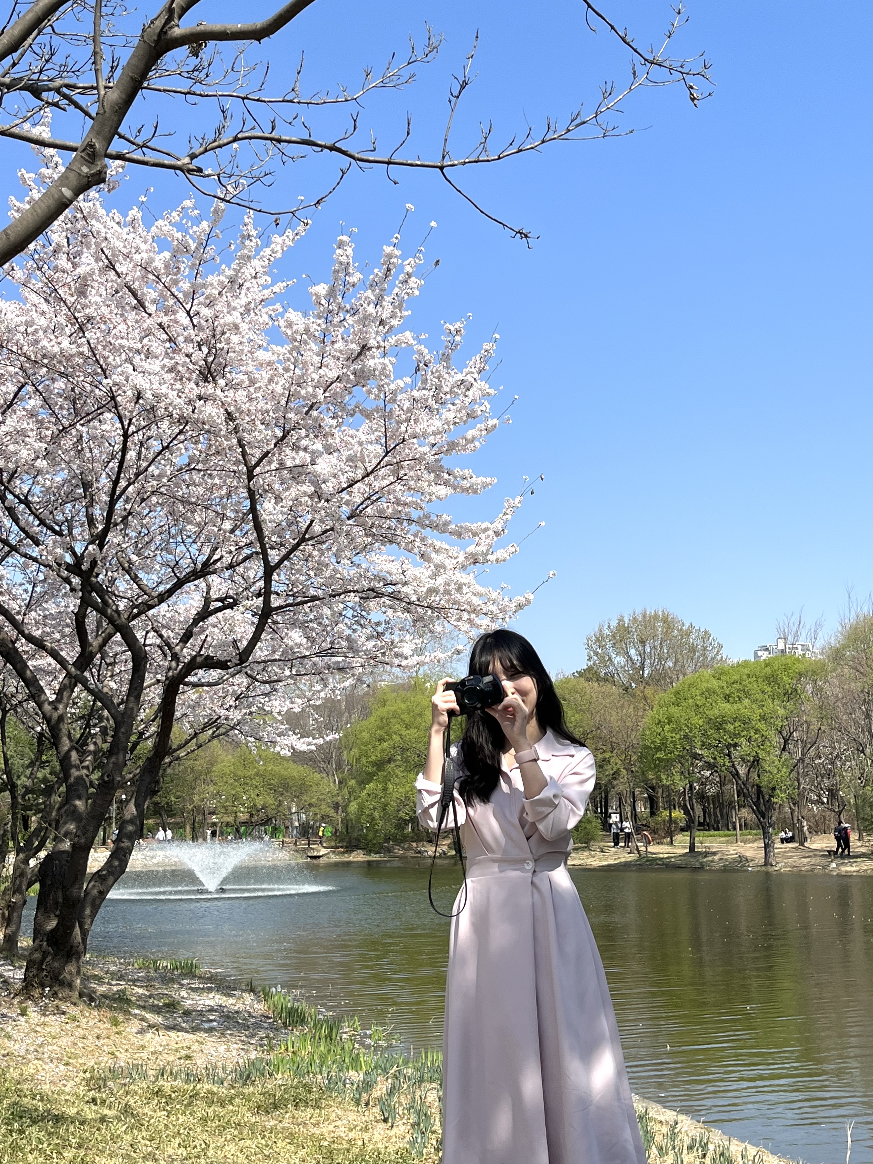 콘텐츠