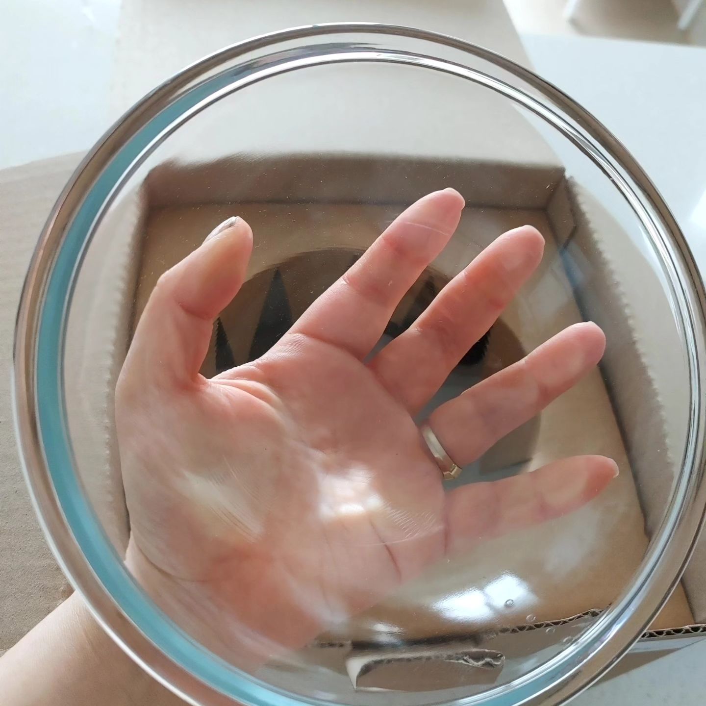 아름답고 영롱하누달빛식기

#네이버펫 #네이버펫앰버서더 #달빛식기
#달빛식기3