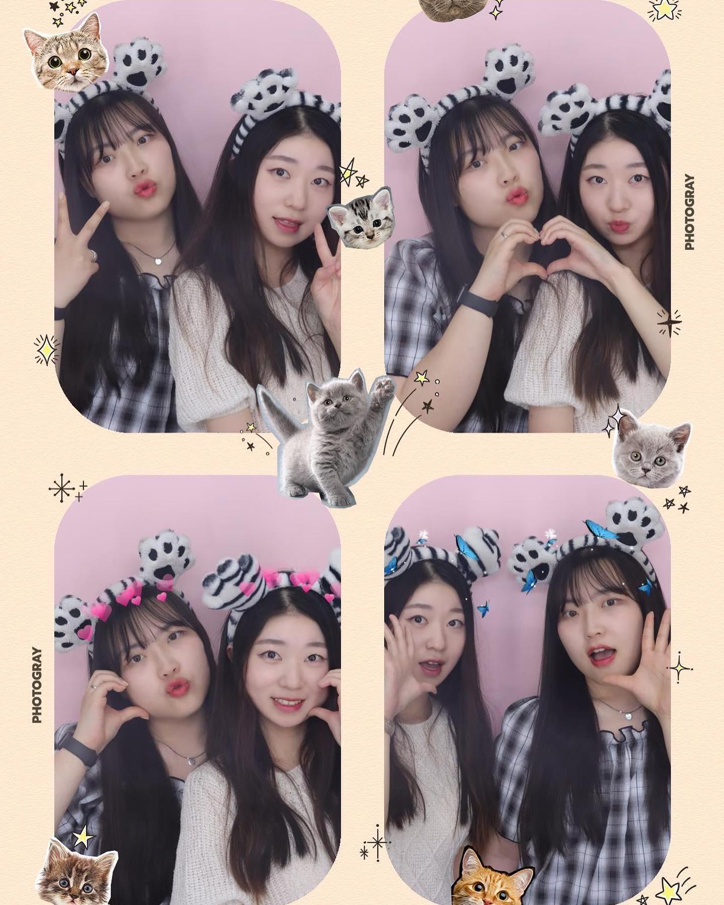쵸븬씌랑🩵