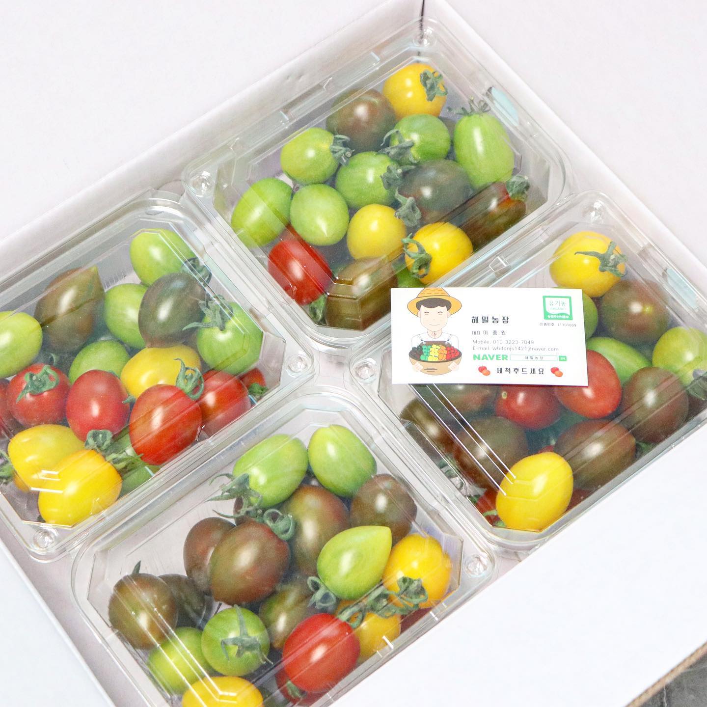 #협찬 #해밀농장

[해밀농장] 유기농 대추방울토마토🍅

비주얼부터 넘나예쁜 <해밀농장 유기농 대추방울토마토>🌸
바쁜 아침에 간단하게 하나씩 집어먹어도맛있고😋

무더운 여름 얼음넣어 믹서기에 갈아 토마토주스로 만들어먹어도🍷
#유기농 대추방울토마토라그런지
엄~~청 달고 맛있어서 계속해서 찾게되는 방울토마토인데요 🤩

크기도 얼마나 큼지막한지 입안가득 차는 과육과 식감이 대박..😆
다이어트할때 방울토마토 많이 찾게되는데
너무 맛있어서 물리지않고 맛있게 다이어트하기 찰떡인건 안비밀 🤣

유기농인데도 불구하고 가성비까지 넘나좋은 해밀농장 토마토👍🏻
유기농 오이도 준비되어있던데 주문해서 오이소박이 담가먹어야겠어요 🌷

_hamilfarm_

#대추방울토마토 #유기농방울토마토 #유기농오이 #맛있는방울토마토 #방울토마토 #오이 #디너의여왕 #방울모타모 #다이어트 #다이어트식단 #방울토마토효능 #다이어터식단 #토마토쥬스 #쥬스만들기 #토마토주스 #토마토 #방울토마토주스만들기