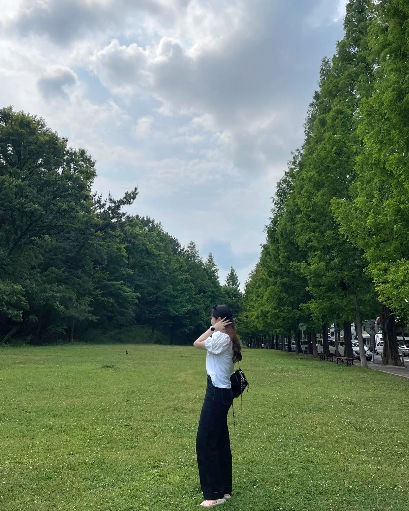날씨요정이 도와준 푸릇푸릇 가로수길🐛💚