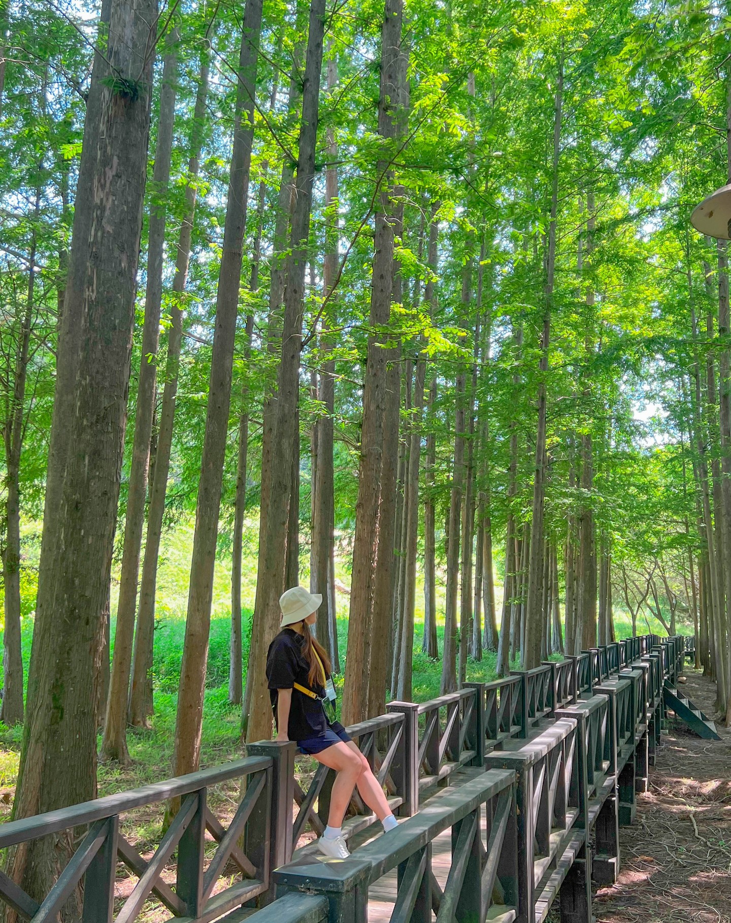 #제작지원
#광주여행

광주 북구 가볼만한곳 너무 많아요
이번 여행에 광주에 반해서 왔답니다.
여행코스 추천해볼게요

①② 광주호호수생태공원
③④ 환벽당
⑤⑥ 광주 비엔날레
⑦⑧ 국립 5.18민주묘지
⑨ 맛있는예술여행센터 BTS 벽화
⑩ 에이치원호텔 수영장

뚜벅이여행으로 다녀오기 좋아요
용산역에서 KTX로 송정역까지 2시간
송정역에서 북구아트버스 탑승하면
비용 1,000원에 하루종일 다 돌아볼 수 있답니다.

gjbukgu

#광주여행 #전라도광주가볼만한곳 #광주북구여행 #광주북구힐링여행 #광주여행코스 #전라도광주북구 #여행중독자 #여행인플루언서 #여행블로거