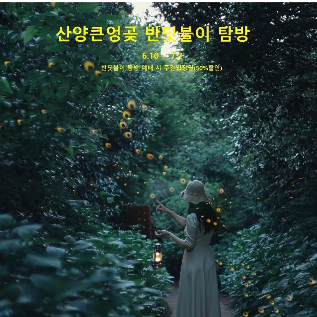 #산양큰엉곶 #반딧불이 #반딧불이탐방 #반딧불이출사

sanyang_keunkot