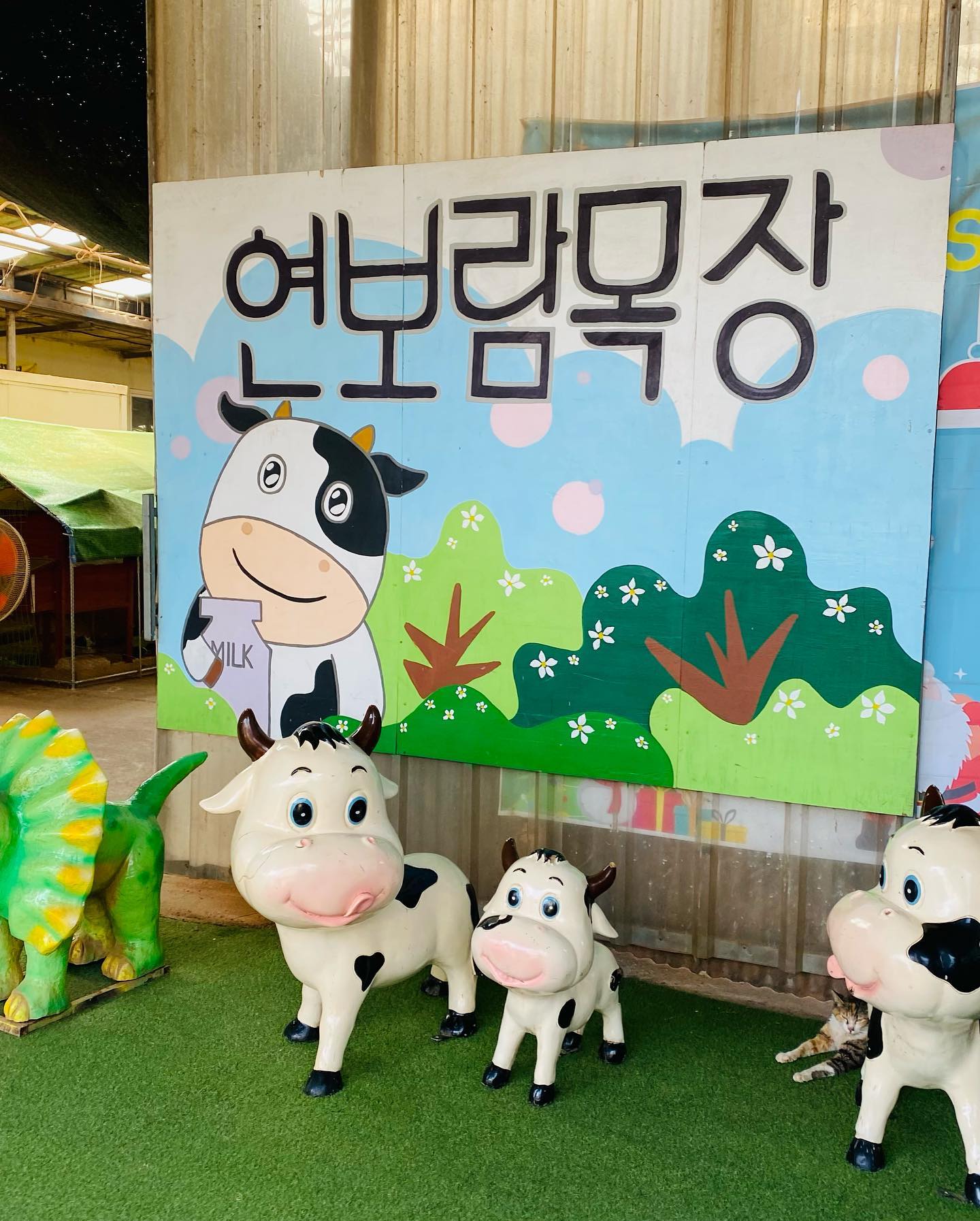 #연보람목장체험🐄 #김포 #유치원소풍날 #아이솔어린이집