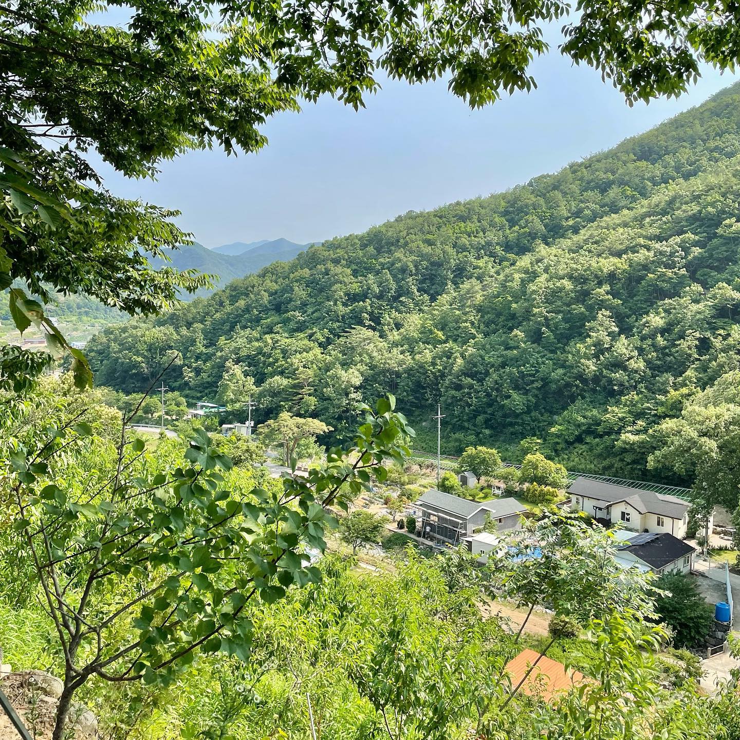 휴무날 엄마랑 가벼운 마음으로 산책왔어요!
푸른하늘과 산책길을 걷는건 정말 힐링이에요 🌳🌿🏞️ 
더운 날씨지만 맑은 공기와 함께 한적한 분위기에서 산책하면 
마음이 편안해져요 😌👌

행복한 기분으로 즐기는 산책, 추천합니다! ☀️👍