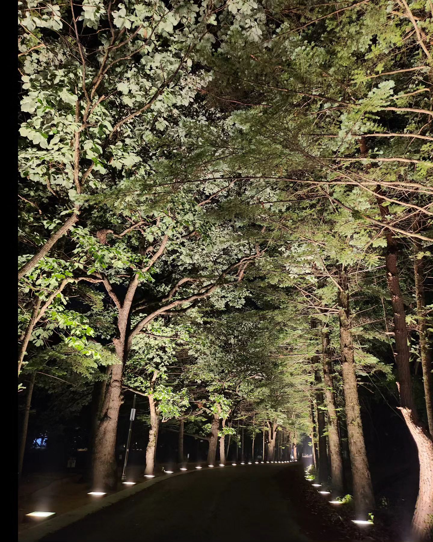 #속리산국립공원 #산책로걷기 
무심하게 익숙하게 걷던길 오랫만에 담아보니 예쁨 🥰