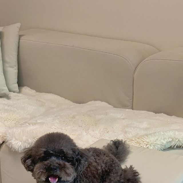 귀요워서 요미 on Instagram: "#광고 드디어 찾았다 내 계단🤍 헨로포우 구름계단 ▫️구름모양 홀의 형태로 안정적이게 발을 디딤 ▫️논슬립원단으로 발바닥 밀착 ▫️방수, 방오원단으로