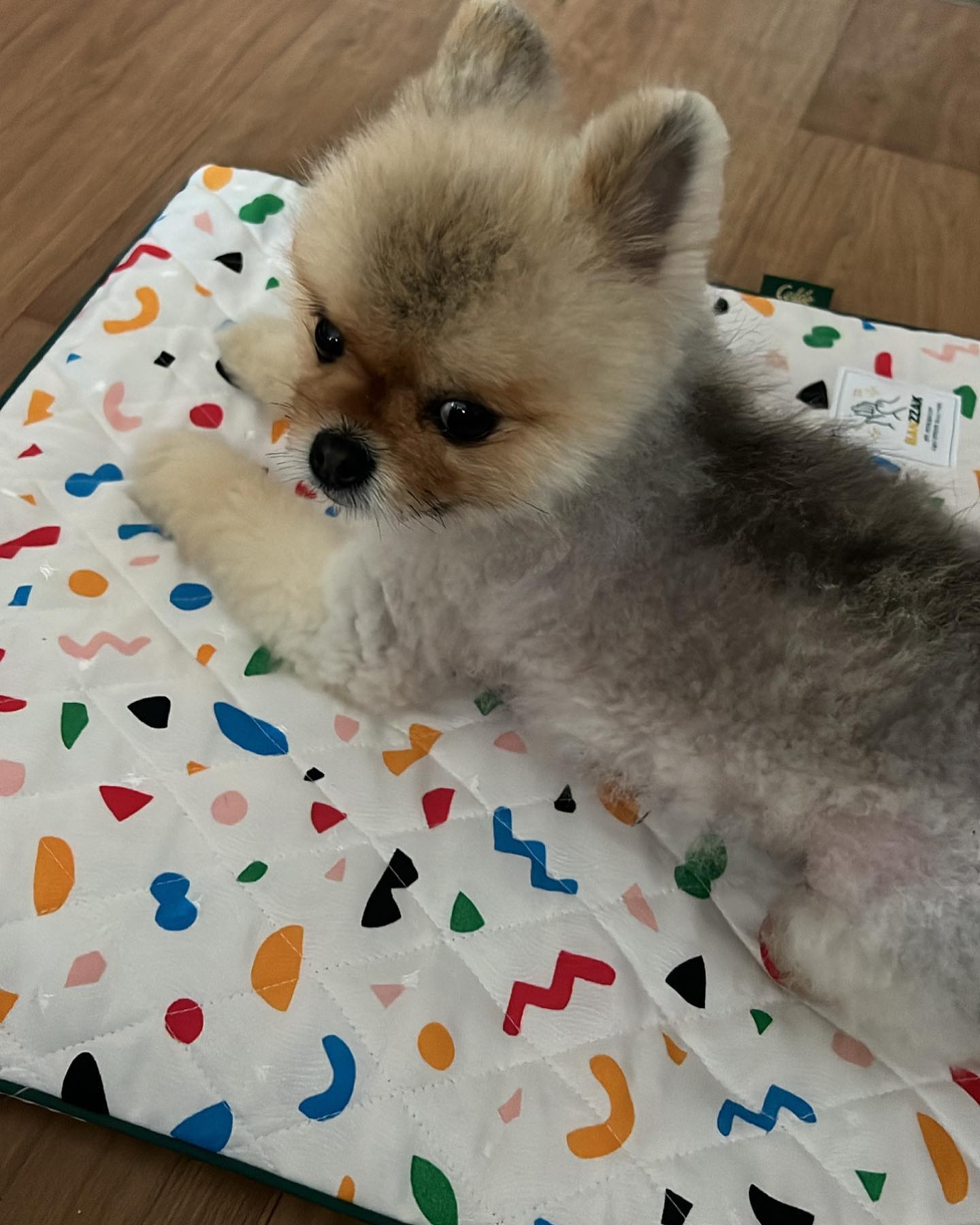 죤말 할때 내 자리니까 넘보지마삼;;;
