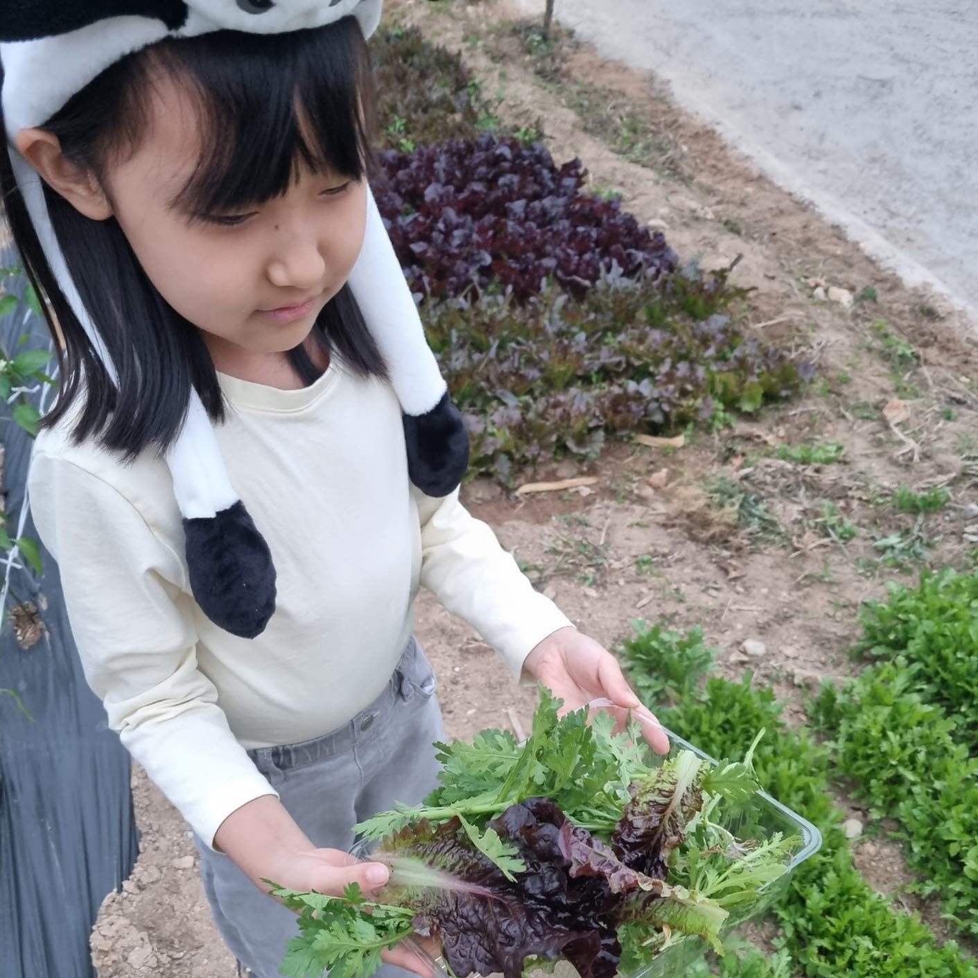 #광고
#나리길한옥펜션

경주에 따끈따끈한 신상 한옥펜션이 
생겼다는 소식 전해드려요!

일반 한옥이 아니고 황토 한옥이랍니다!
각 객실마다 온수수영장과 바베큐장이 있어
프라이빗한 시간을 즐길수 있어요

거기다 투숙객들은 황토찜질방 
이용이 무료에요!
텃밭 채소도 무료로 제공된다는점 
넘나 괜찮은것 같아요! 

경주 여행 계획중이시면 
나리길 한옥펜션 한번 검색해보세요 

상호 : 나리길 한옥펜션
위치 : 경북 경주시 천북면 나리길 26-53
http://www.나리펜션.kr/
예약문의 : 054-743-2346

#경주한옥펜션#경주펜션#경주한옥스테이
#황리단길숙소#경주숙소추천#경주펜션추천#경주가족펜션
#보문단지숙소#경주황리단길#경주풀빌라#경주 
#경주데이트코스#첨성대#안압지#국립경주박물관#경주여행
#경주독채펜션#경주수영장펜션