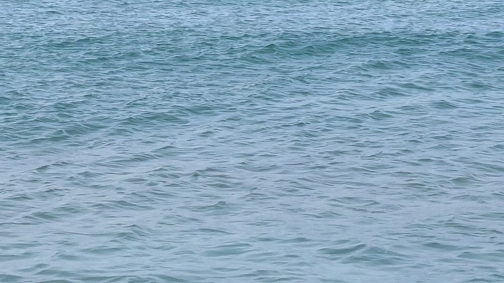 그냥 이것저것🌊🏄‍♀️⛱️