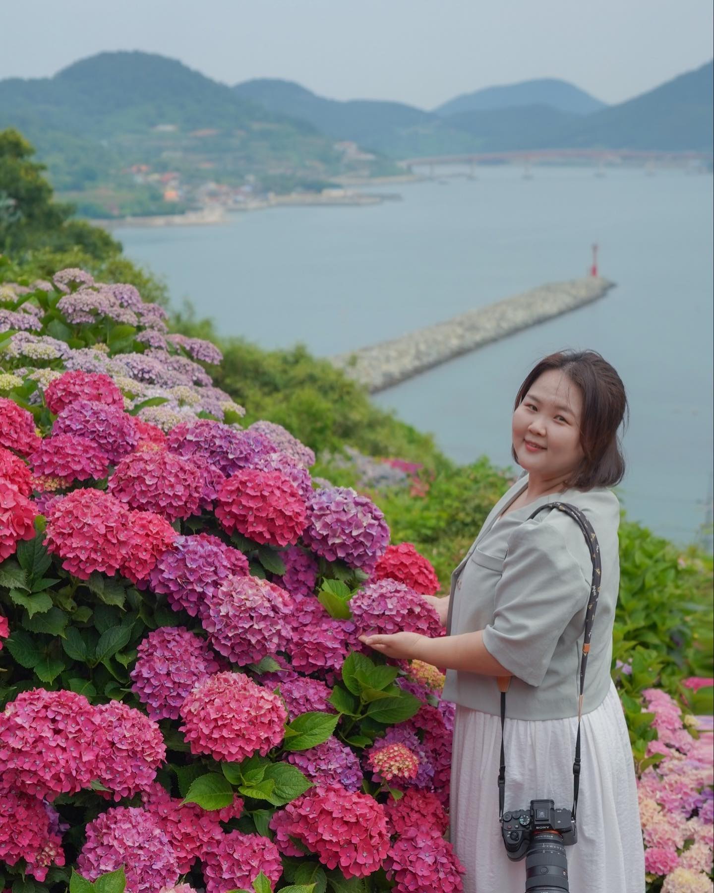 #쑥섬쑥섬 #고흥쑥섬 #쑥섬

7시30분부터 5분간격으로 배가 다녀요
한 배에 정원 12명이라 차분하게 구경할 수 있어서 좋았어요
너~무 아름다웠던 고흥쑥섬!
아침 일찍 간 보람이 있었다 👍

#수국 #수국정원 #수국수국 
#광주사진동호회셔터플릭스
#셔터플릭스 #광주사진동호회 #광주사진모임
shutterflixkorea