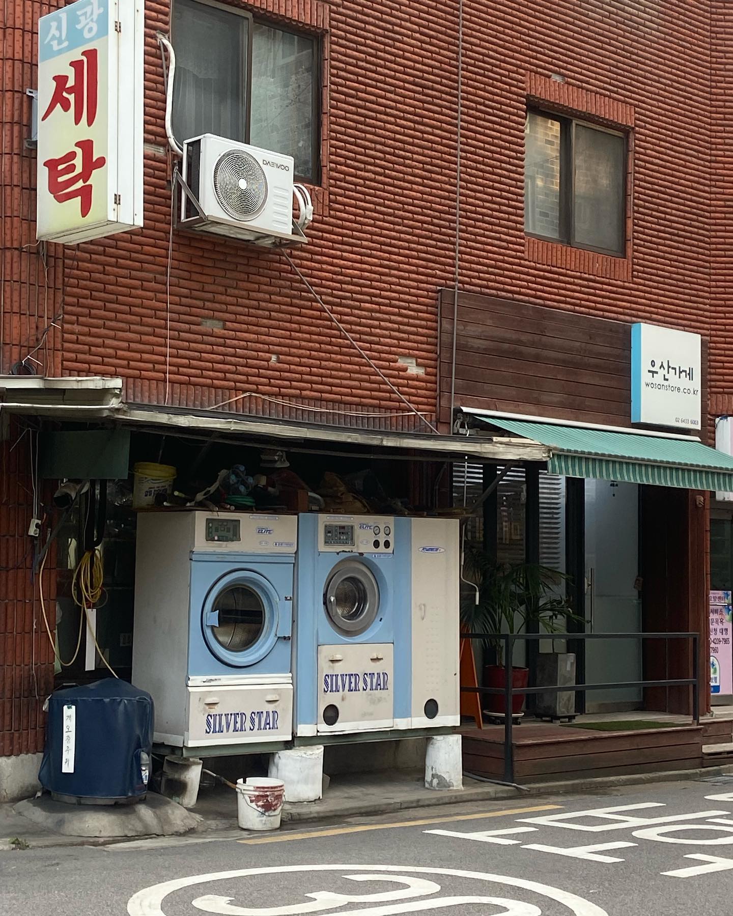 너무 이뻐서 자랑하고 가요
