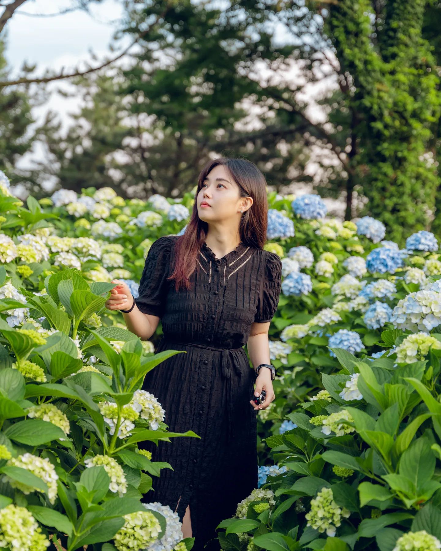.

수국이 만개 직전에 다녀왔다💙

#거제여행 
#거제수국 
#수국 
#꽃
#여행에미치다 
#파리드메종 
#사진찍는여자 
#사진찍는남자 
#sonya7iii 
#소니a7m3