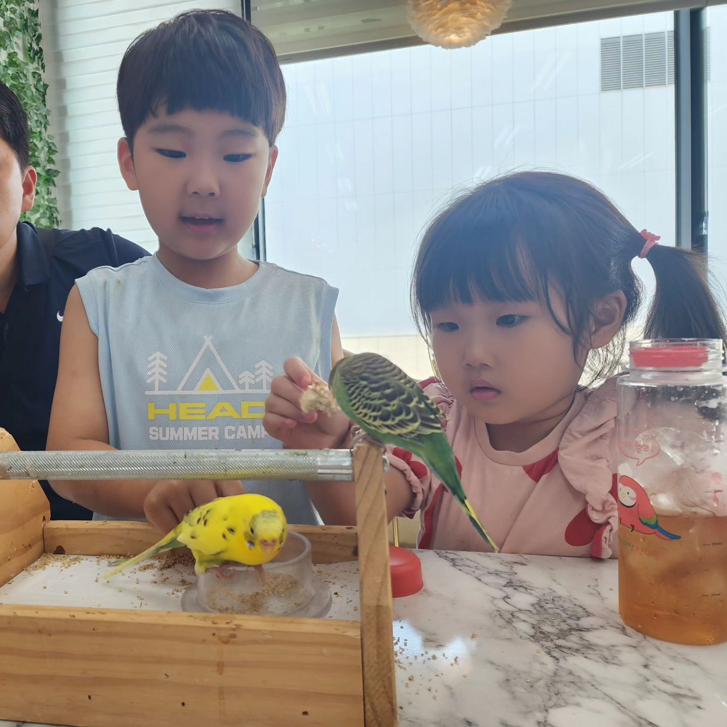 🌈
준서가 너무 가고 싶어 하던 앵무새카페
사실 내가 더 가고 싶었던 건 함정.

예쁜애들도 많고 말하는 애들 넘 신기하다😍
넘 귀여워 😆

#리프패럿부천옥길점 #부천 #옥길 #부천맘 #옥길맘 #이색카페 #앵무새 #앵무새분양 #앵무새체험 #주말 #주말일상 #주말스타그램 #육아스타그램 #데일리 #주말스타그램 #일상스타그램 #일상기록
