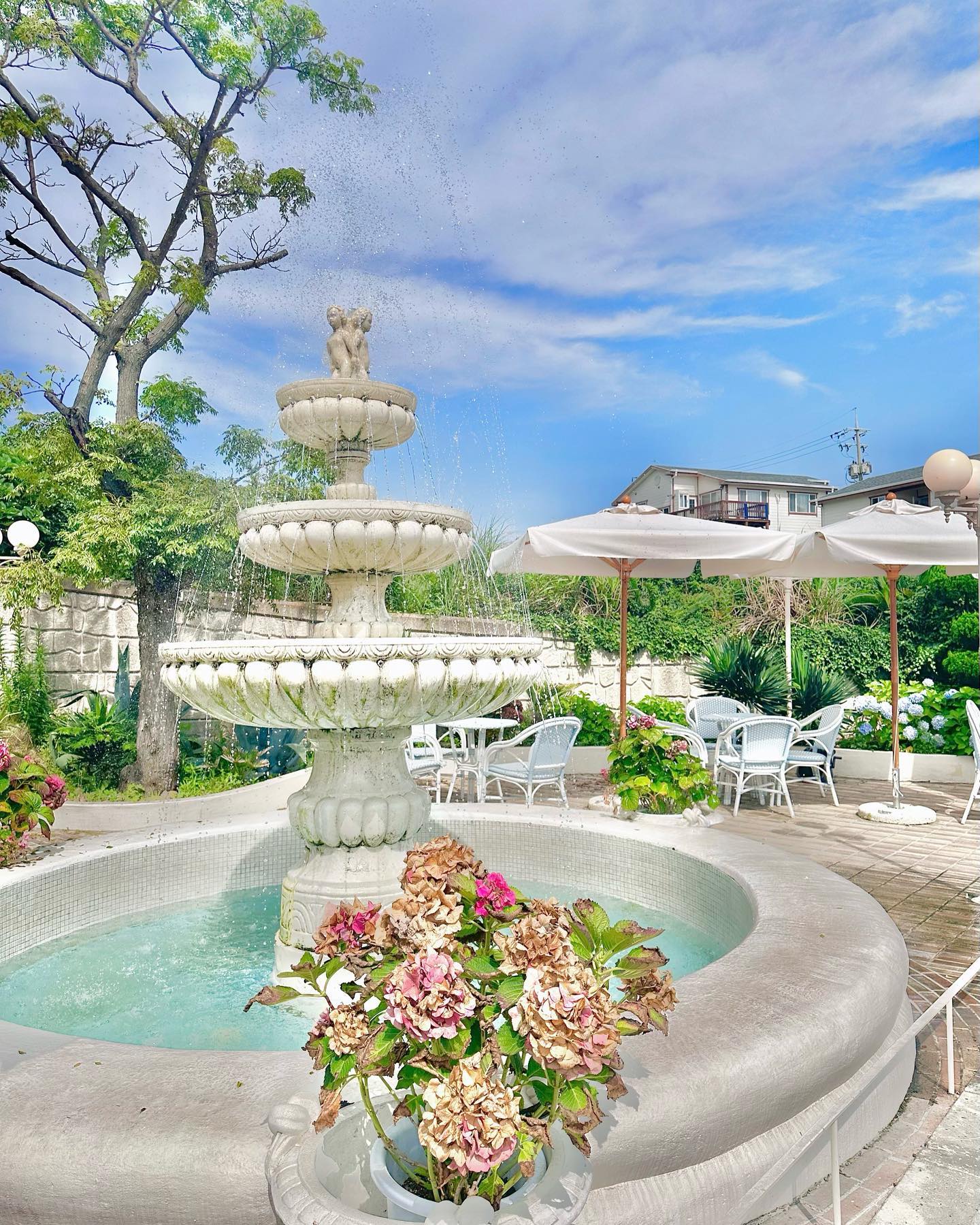 ⛲️𝒞𝒪𝐿𝐿𝐼𝒩𝐸 𝒥𝐸𝒥𝒰💐