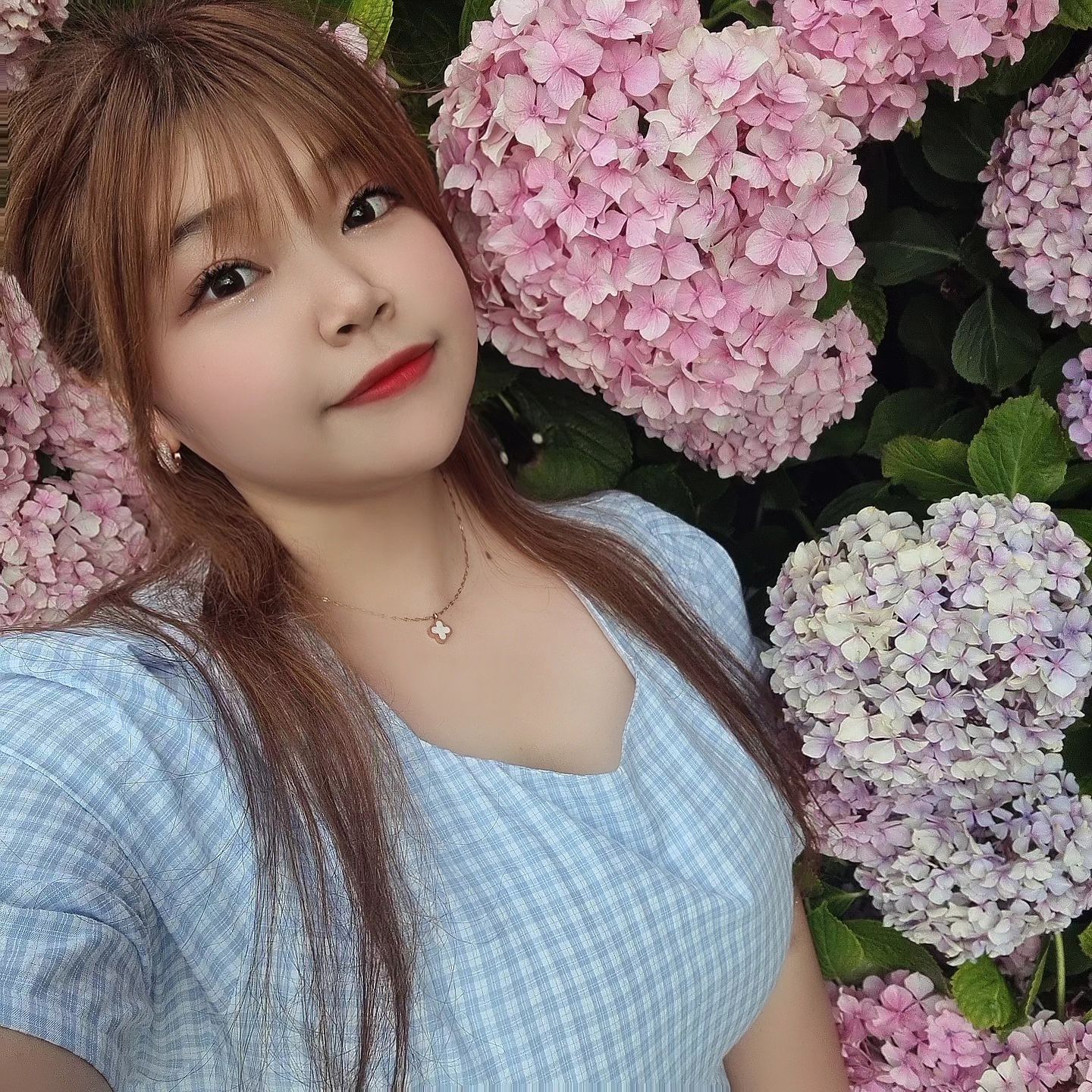 수국 조하-!🫧