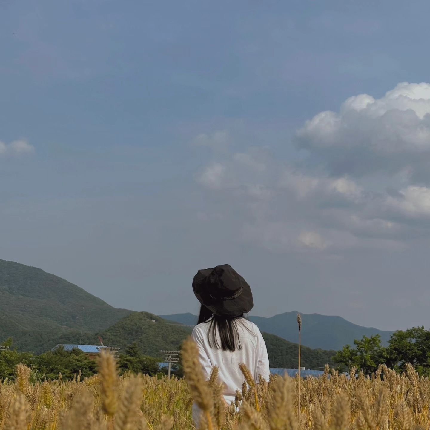 🌿
너른 청보리밭이 펼쳐진 카페 #마음가는대로
 
청보리밭에 한번 감탄하고 고개를 들어보면, 주위를 둘러싸고 있는 산세에 한번 더 감탄하게 되는 곳이에요.
 
주말에 방문했음에도 조용하고 자유롭게 이용할 수 있어서 휴식이 되었습니다.
 
테라스에서 즐기는 것도 좋지만, 마음가는대로 카페만의 보라색 지붕 원두막에서 정겨움을 마음껏 느끼며 음료를 드시는 것을 추천해요.
원두막에 올라가 아빠 다리를 하고 앉아서, 따사로운 햇살을 받으며 아이스라떼를 마시고 있으니 이만한 힐링이 없더라구요.🫠

눈코 뜰 새 없이 바쁜 요즘, 정말이지 드물게 여유로움을 느낄 수 있는 순간과 공간이었습니다.
 
 
 
📍마음가는대로 cafe_followyourheart
🗺 경북 문경시 문경읍 체육관길 22
⏱️ 매일 10:00 - 22:00
 
 
 
#음미수밍문경