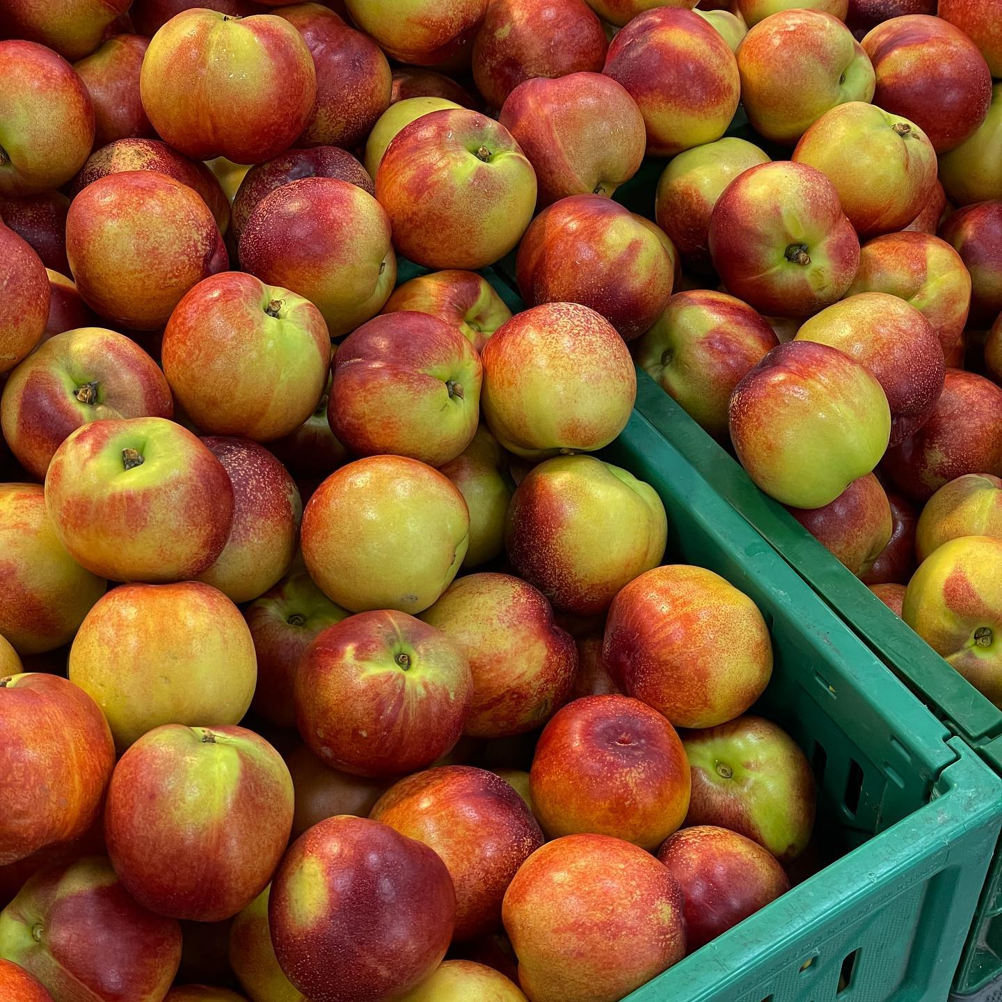 #여름느낌
벌써 진짜 여름이야
이제 곧 7월 소름

여름느낌 좋아서 
피드 오랜만의 업로드🍑🍋🍉

#일상 #일기 #데일리 #여름 #여행가고싶다 #앓는중 #사진스타그램 #사진맛집 #감성사진