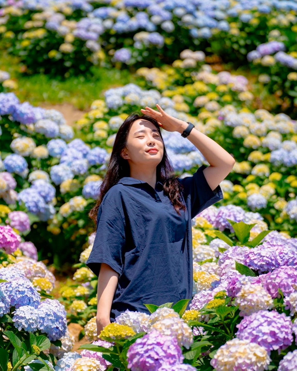 수국수국💐

지난주에 갔지만 지금 올리기😎
바다랑 수국+라벤더 조합은 환상이랄까,,
블로그에 자세한 정보 올려뒀어요!

➡️ 23.06.17 방문
📸 ___d0ng_j1n 
📍울산 장생포 고래문화마을

#울산 #울산여행 #울산수국 #울산가볼만한곳 #경남수국 #대한민국구석구석 #수국맛집 #울산데이트하기좋은곳 #울산데이트스냅 #여행블로거 #ulsan #울산장생포 #울산장생포고래박물관 #울산장생포수국축제