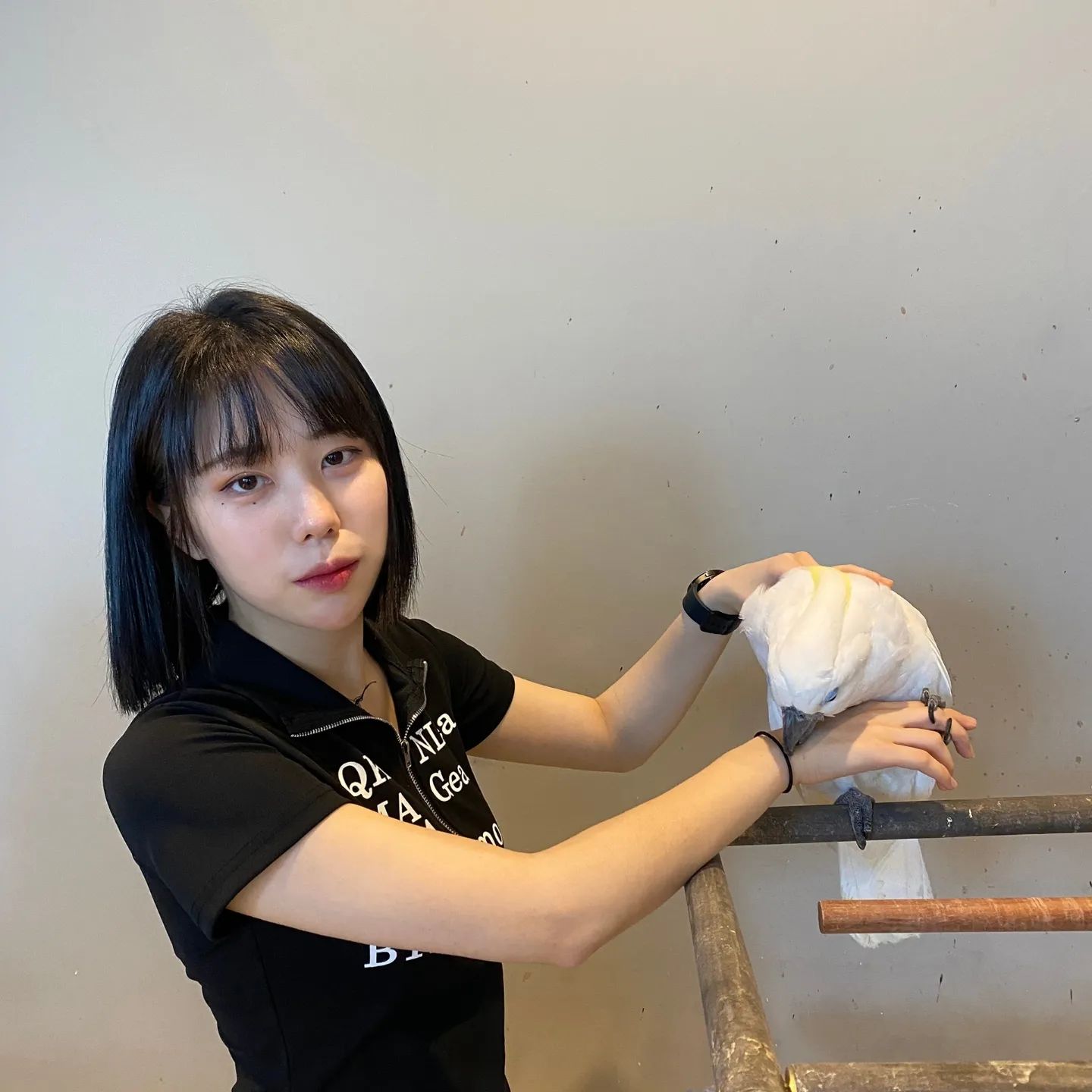 코카투 0.0
